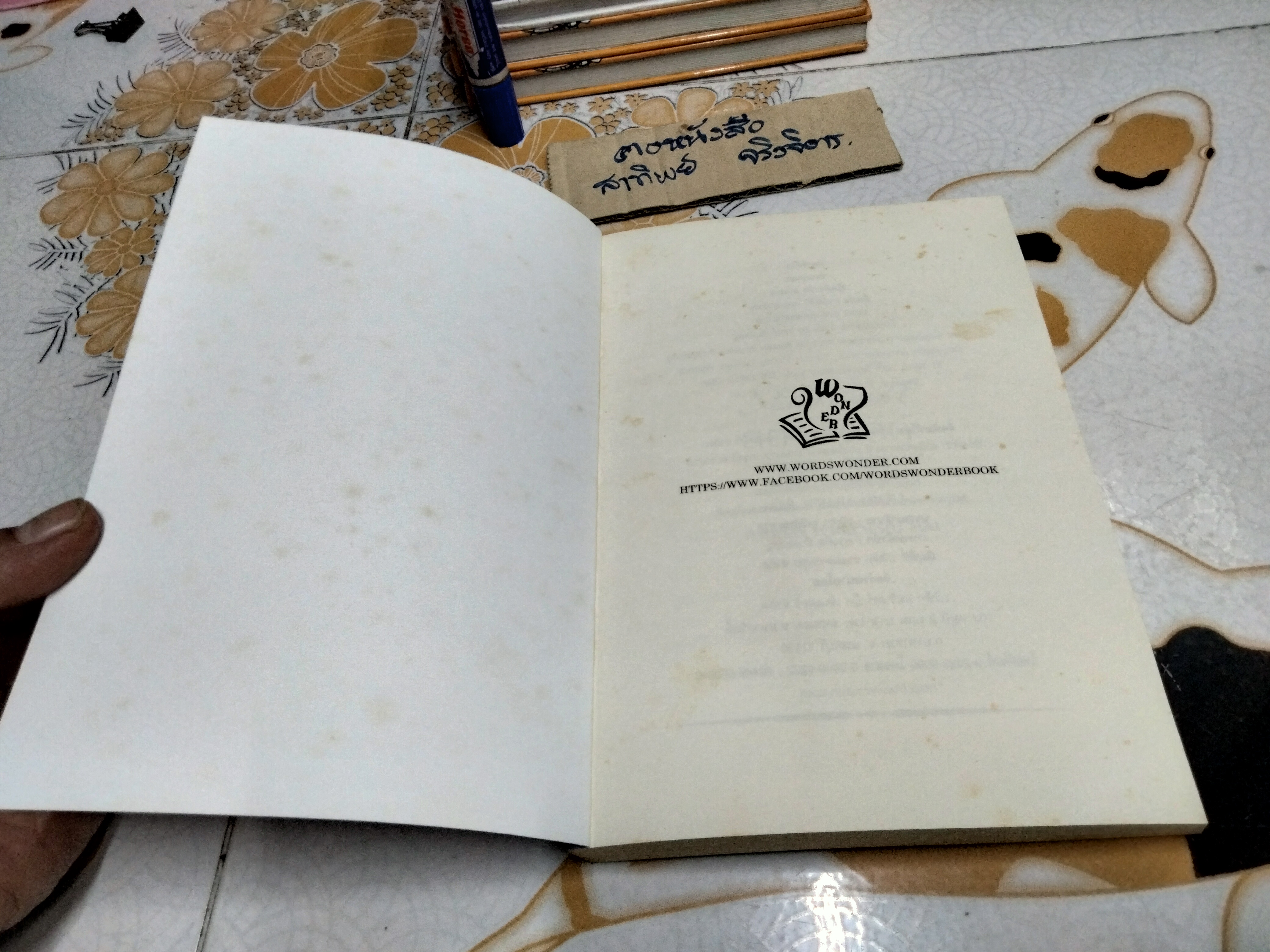 สตาร์ดัสท์ (Stardust) โดย นีล เกแมน แปลโดย กานต์สิริ โรจนสุวรรณ Words Wonder Publishing พิมพ์ครั้งแรก พ.ศ.2557 **สินค้าหมด**