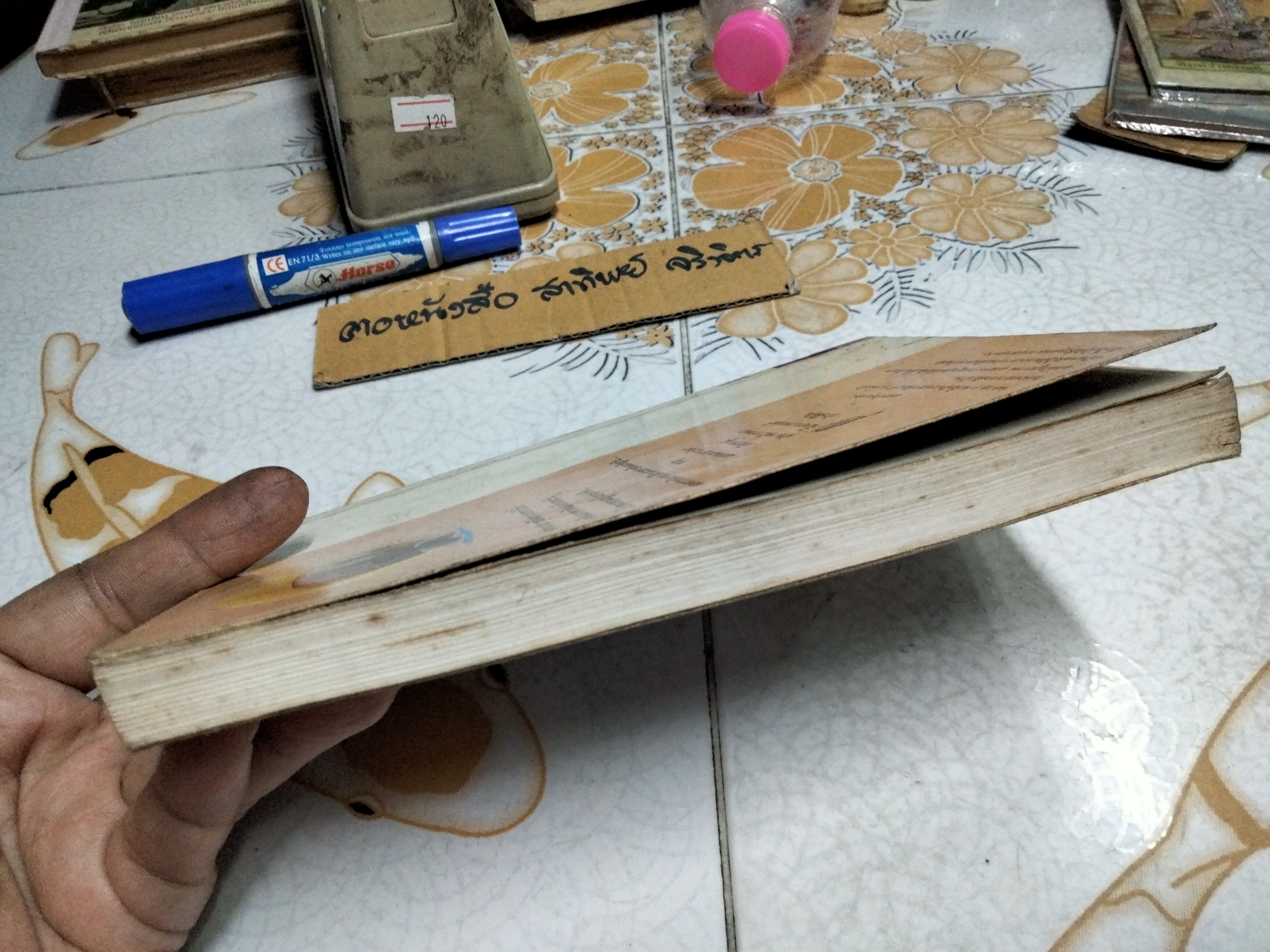 เทพนิยายไวกิ้ง (The Saga of Erik The Viking) เทอร์รี โจนส์ (Terry Jones) เขียน - วัชรินทร์ อำพัน แปล / พิมพ์ 3/2537 สนพ ดอกหญ้า