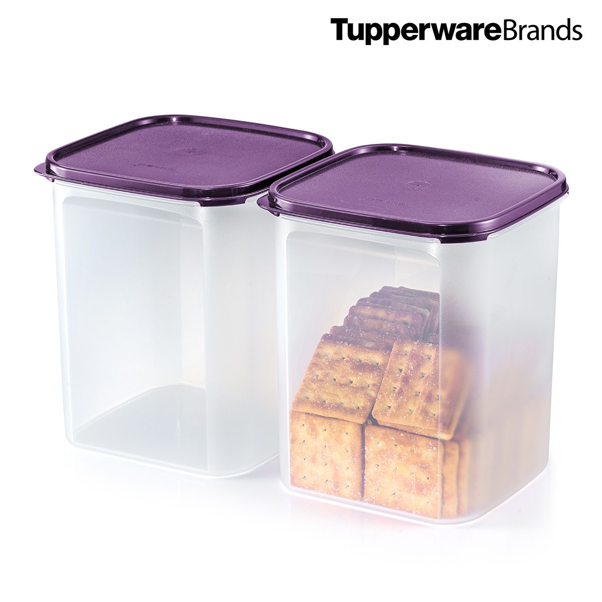 Tupperware Modularmate Square 5.5 L.