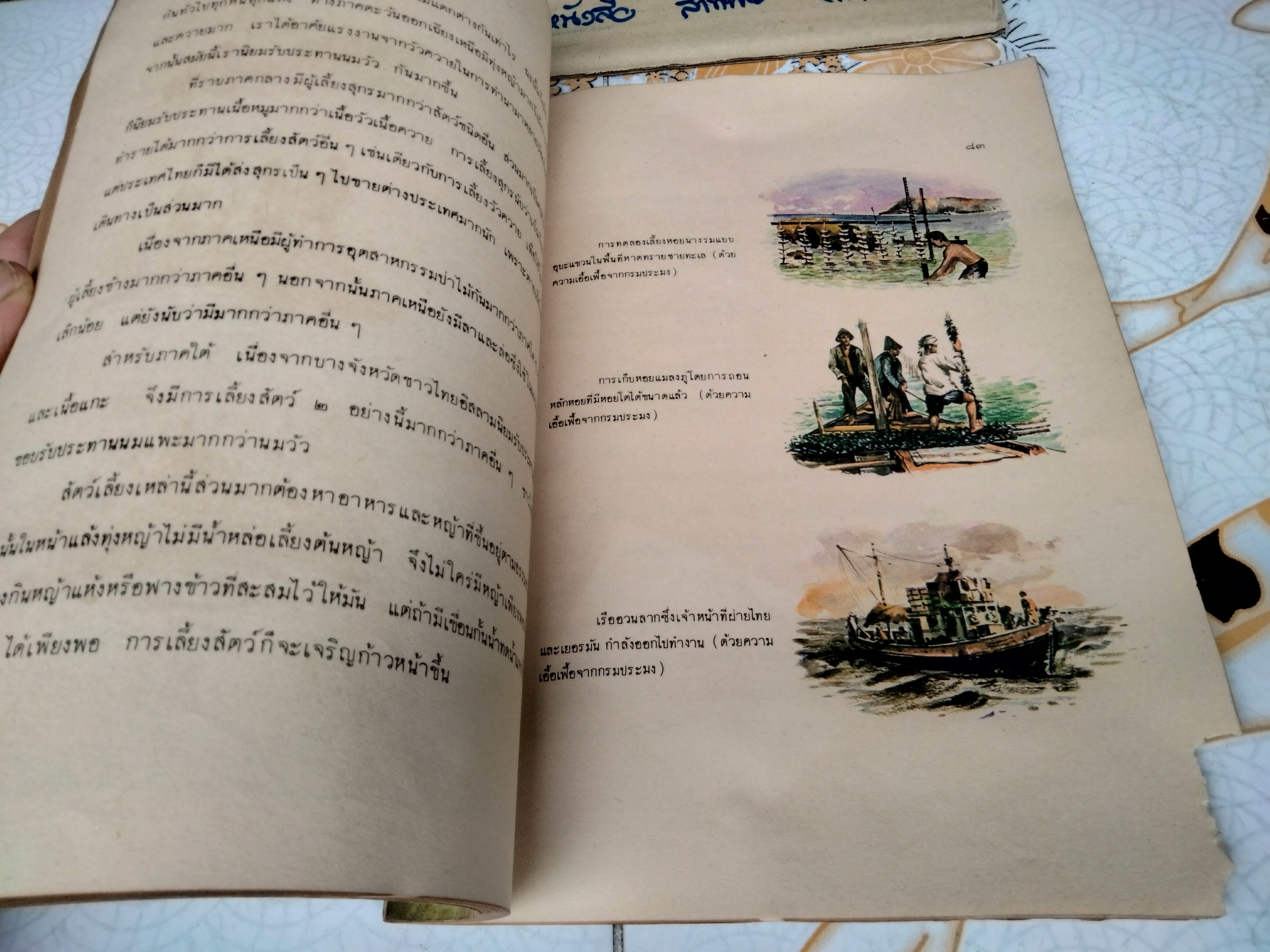แบบเรียนสังคมศึกษา ภูมิศาสตร์ภาพ ชั้นประโยคประถมศึกษา กรมวิชาการ กระทรวงศึกษาธิการ พิมพ์ครั้งที่ 2/2513 (แบบเรียนเก่า-ตำราเรียนเก่า) **สินค้าหมด**