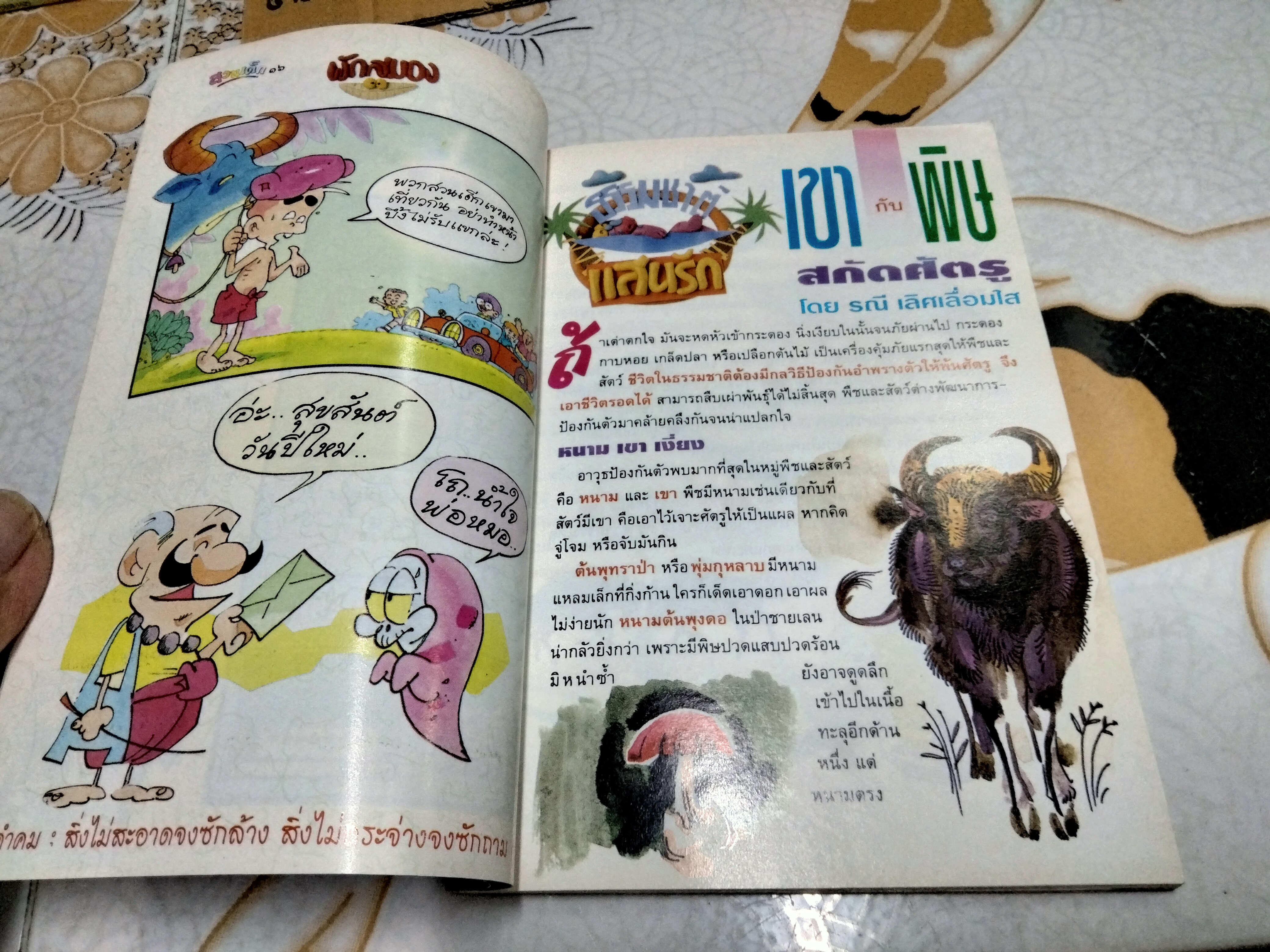 "สวนเด็ก" ปีที่ 5 ฉบับที่ 96 ปักษ์หลัง เดือนตุลาคม 2536 ปก สายธาร นิยมกาญจน์ ** รูปเล็กโดนเจาะ หน้าสารบัญ