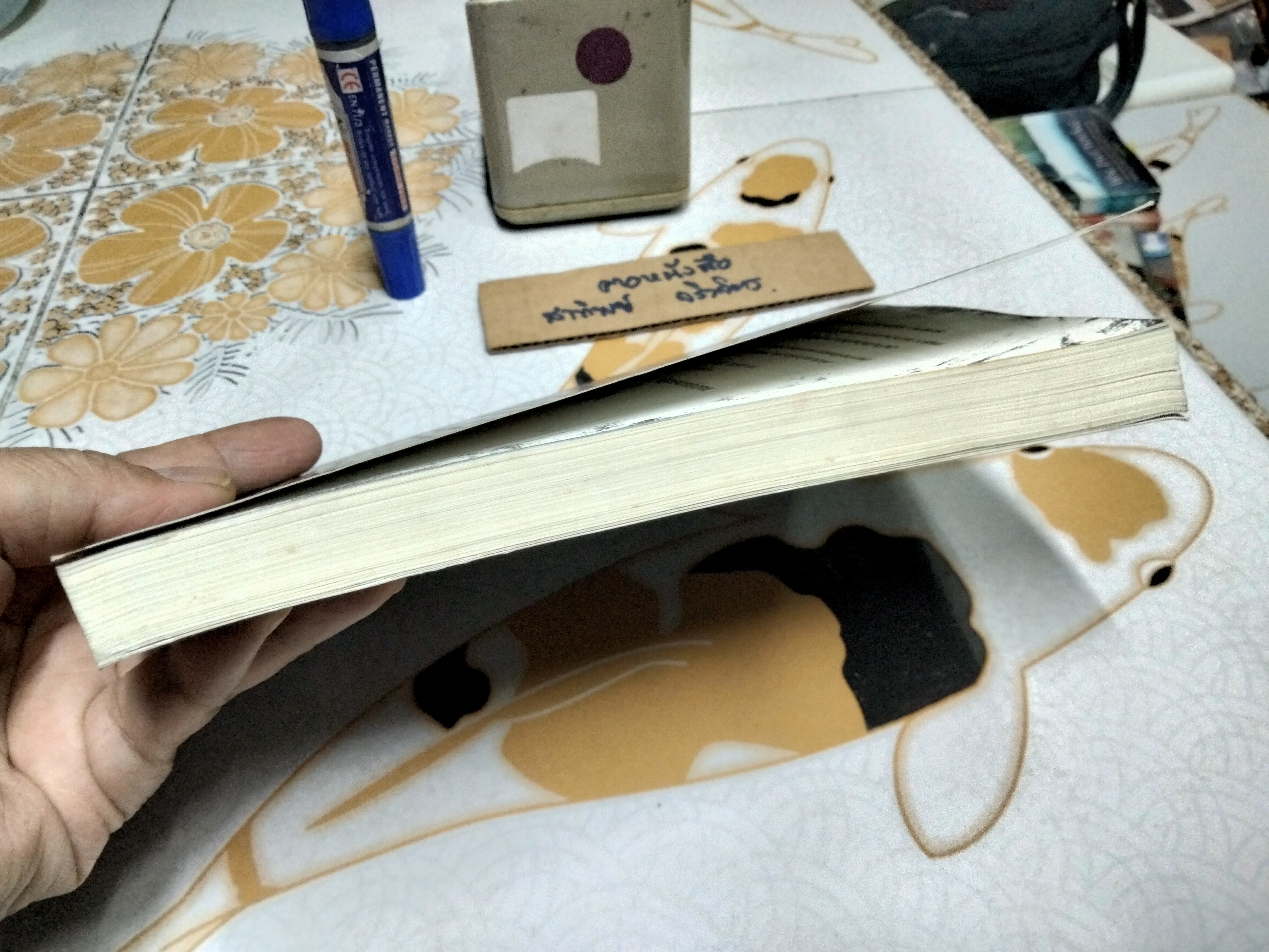 ศพ- เซ่น-ศาล (Holy) - ภาคินัย **สินค้าหมด**