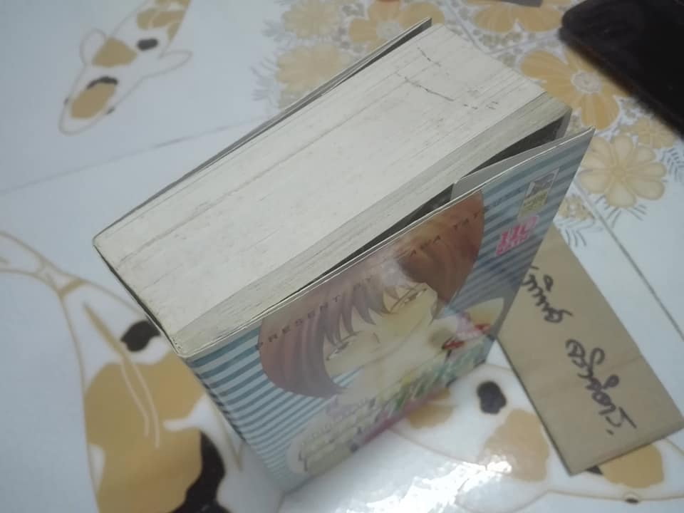 GOLDEN BOY 109 เล่มเดียวจบ **สินค้าหมด**