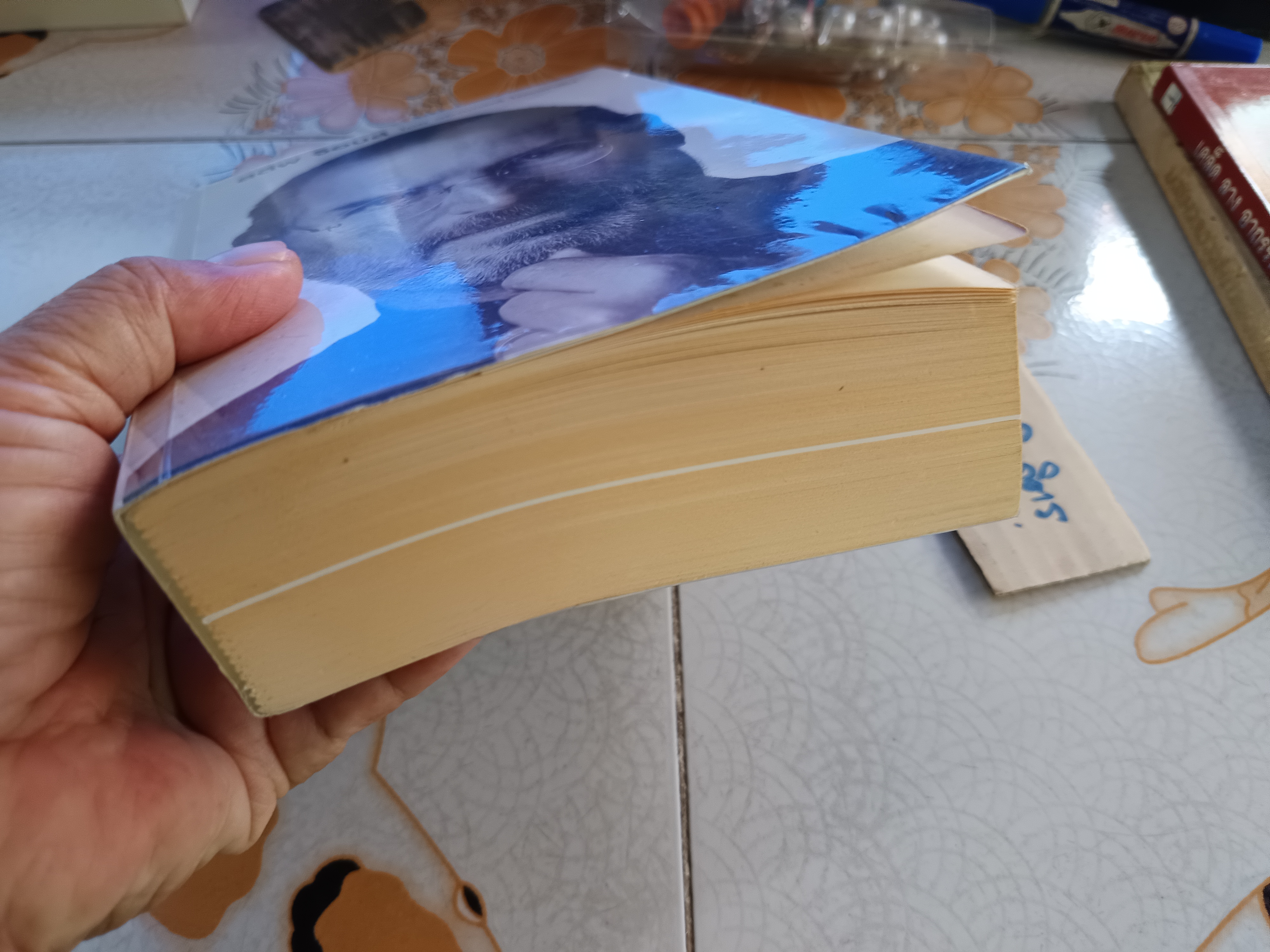 สตีฟ จ็อบส์ : Steve Jobs (ปกอ่อน) วอลเตอร์ ไอแซคสัน เขียน ณงลักษณ์ จารุวัฒน์ และคณะ แปล