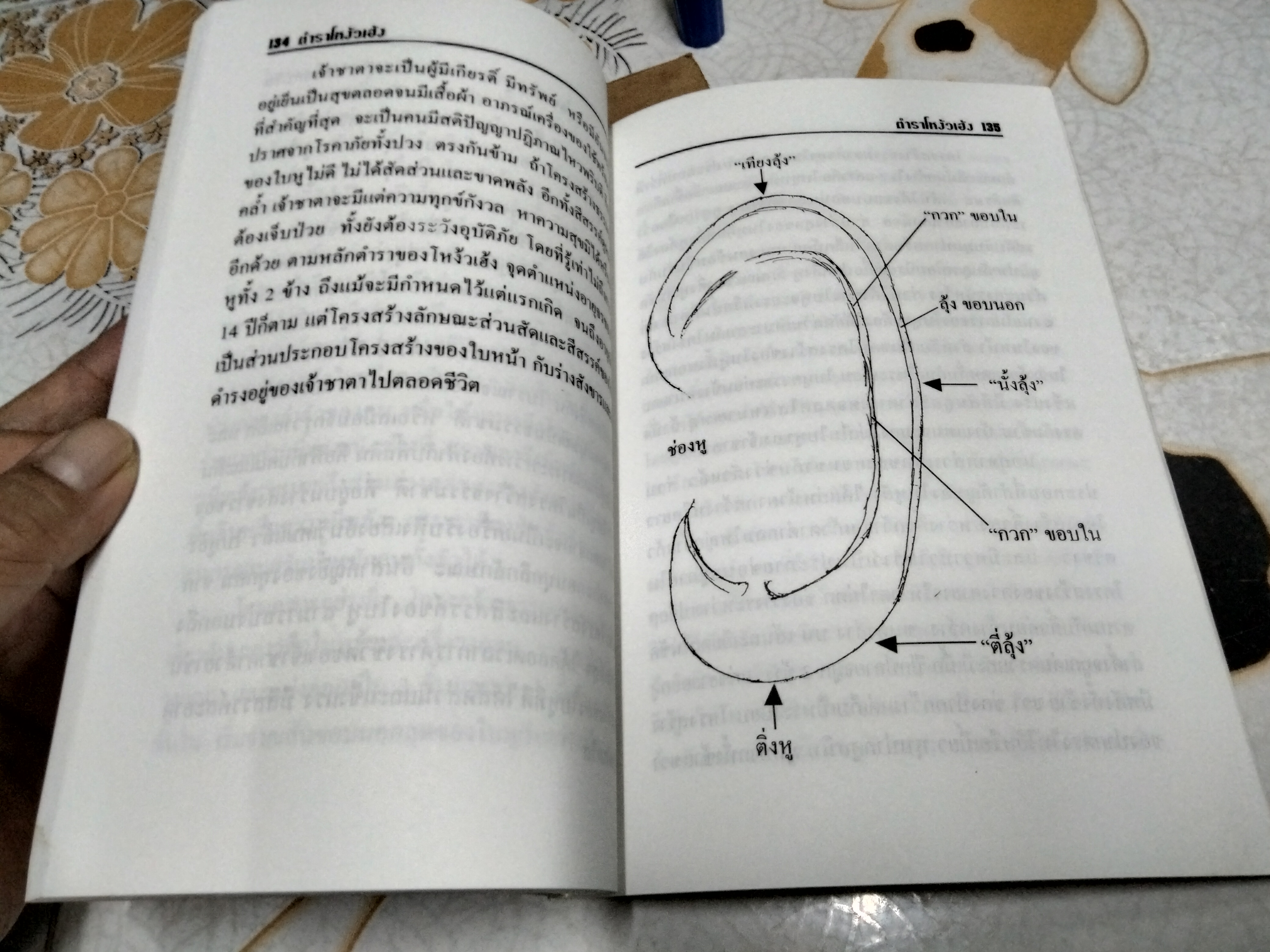 ตำนานโหงวเฮ้งกับธรรมชาติ อ.ชัย ตันอรรถนาวิน รวบรวมเรียบเรียง พิมพ์ปีพ.ศ 2541 **สินค้าหมด**
