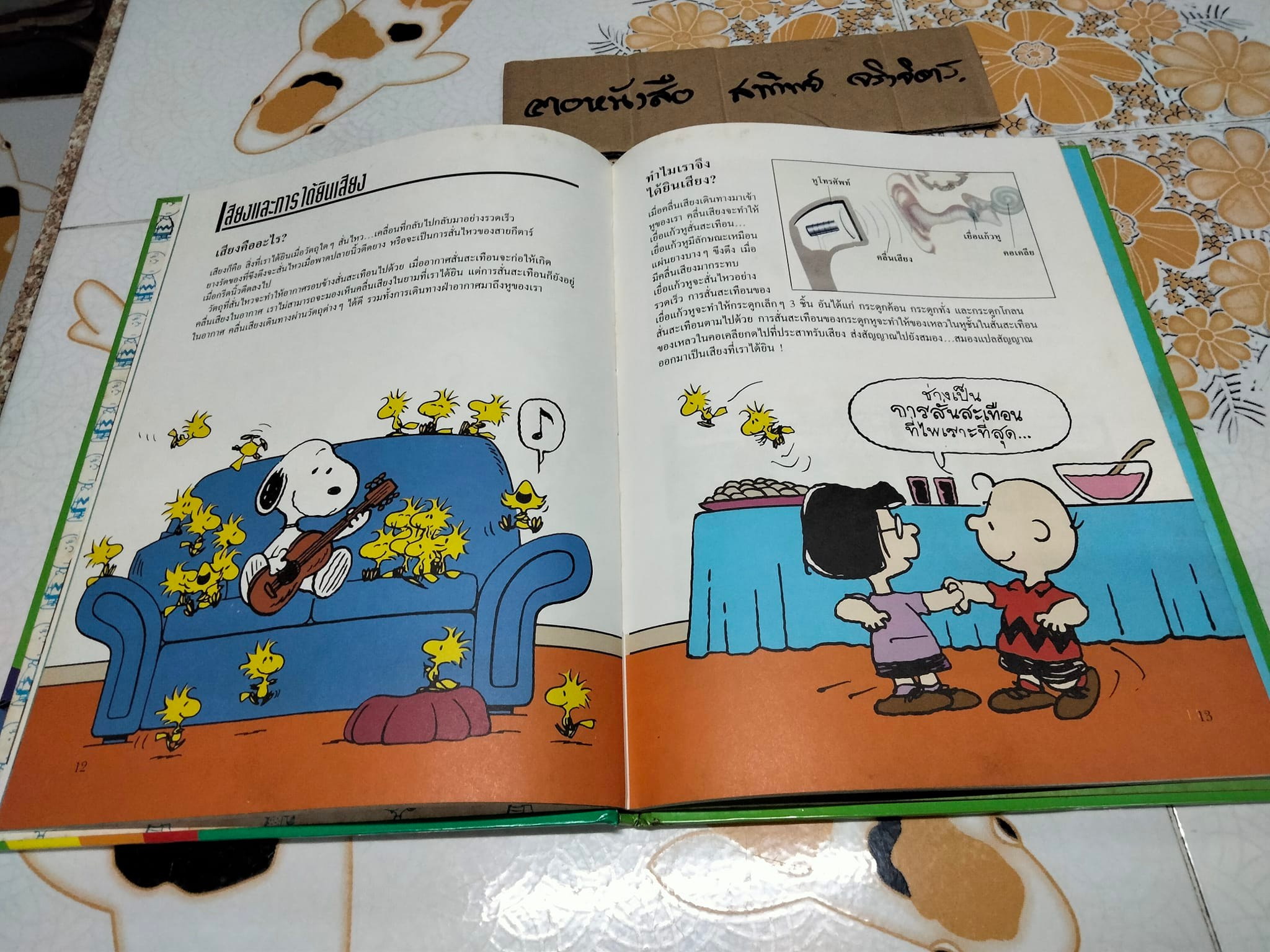 สารานุกรมแสนสนุกของ ชาร์ลี บราวน์ - ชุดที่ 2 ลำดับที่ 8 วิทยาศาสตร์มหัศจรรย์- แสงเสียง และอากาศ (ปกแข็ง)