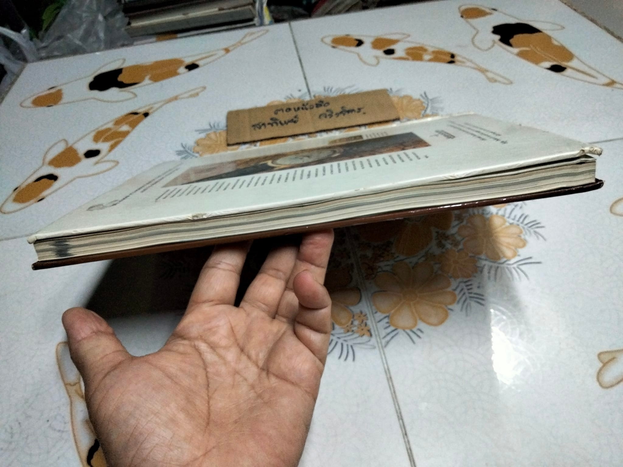 THE WATCH AND JEWELLERY YEAR BOOK 1996