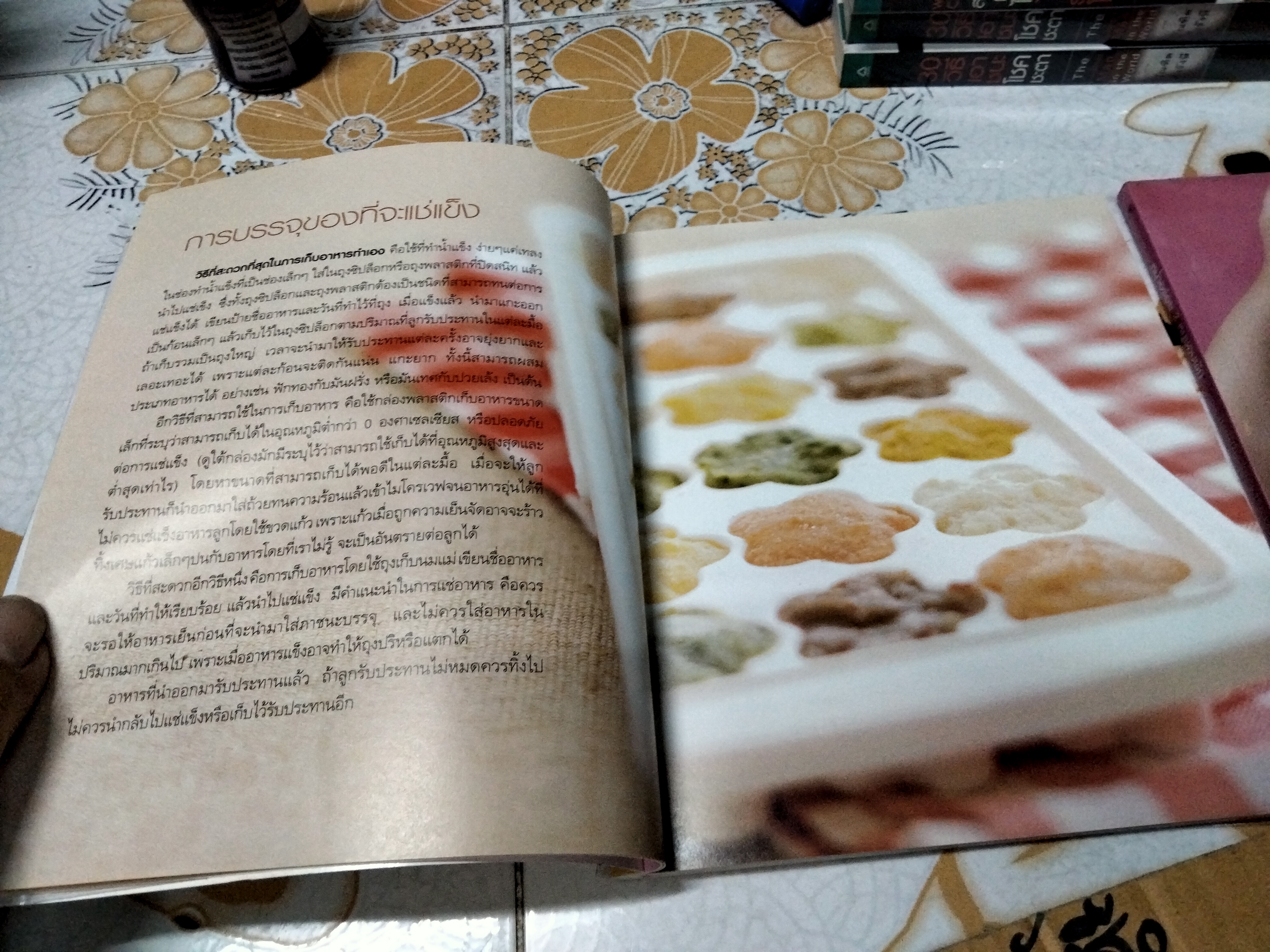 หม่ำอร่อย เล่ม 1-2 HEALTHY BABY PUREES โดย ปาหนัน เดชเพียร