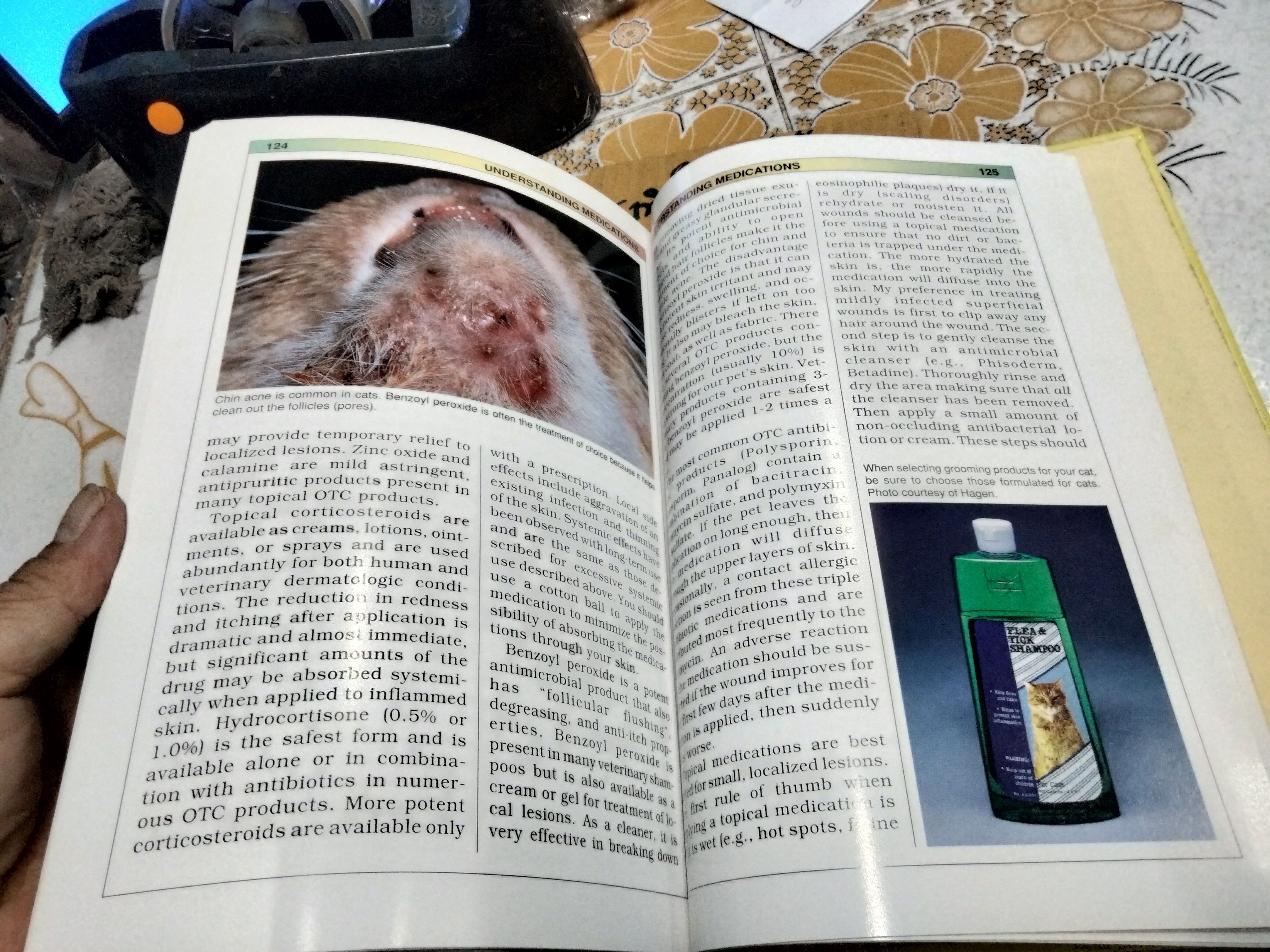 Skin & Coat Care for Your Cat Compiled by Lowell Ackerman