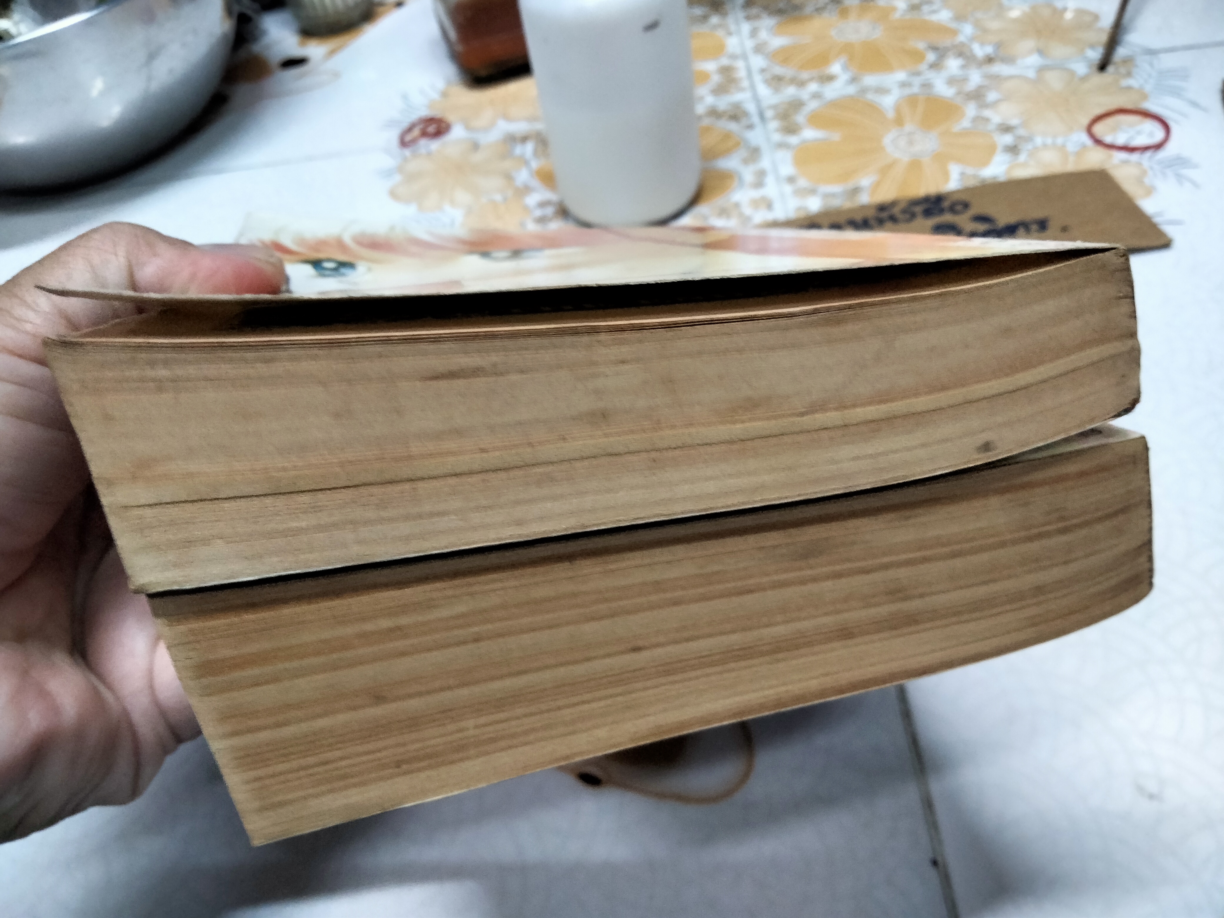 หนังสือการ์ตูน ฝากรักไว้ที่ปลายเวลา (2เล่มจบครบชุด) โดยฮิคาวะ เคียวโกะ **สินค้าหมด**