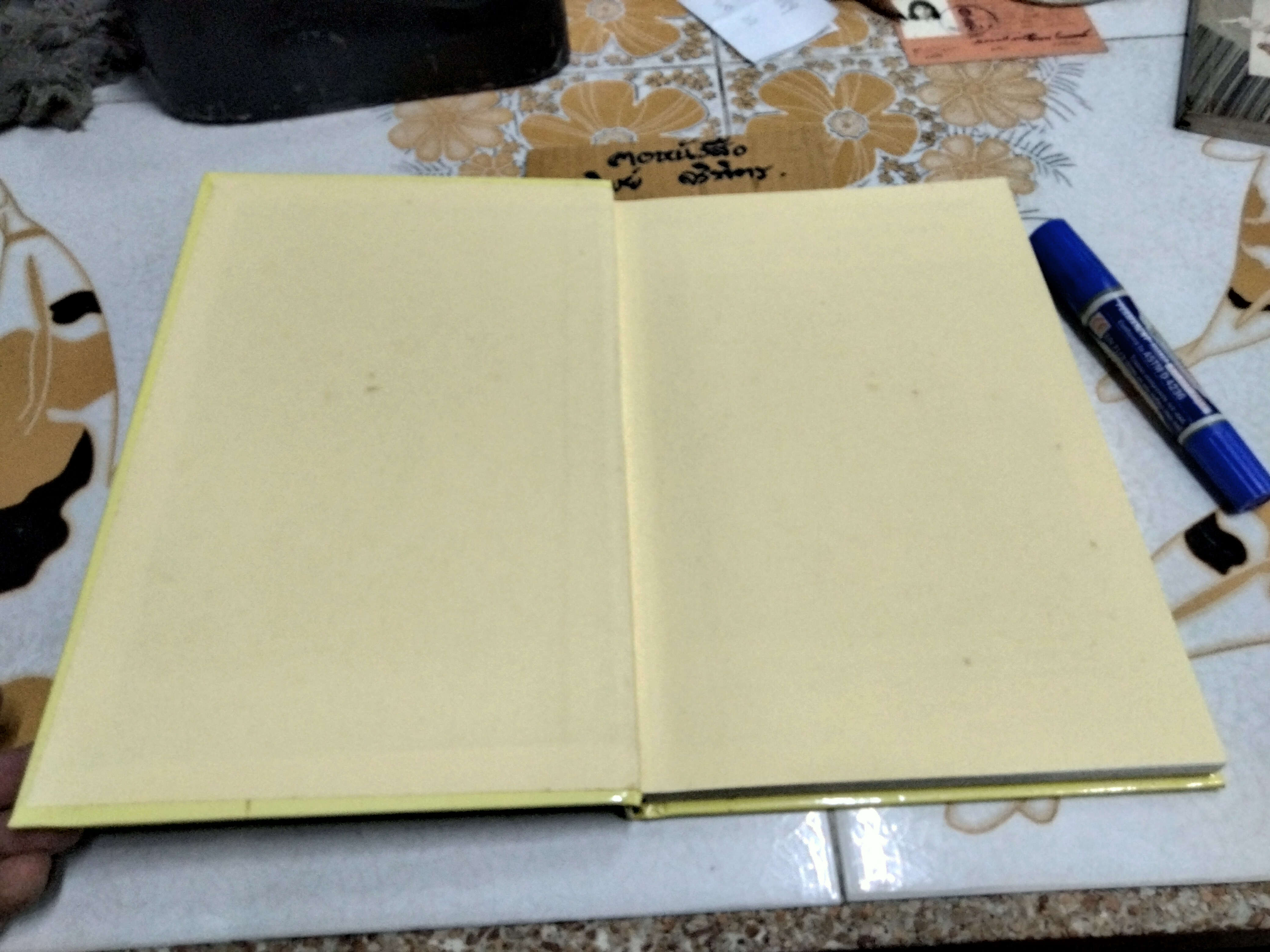 Skin & Coat Care for Your Cat Compiled by Lowell Ackerman