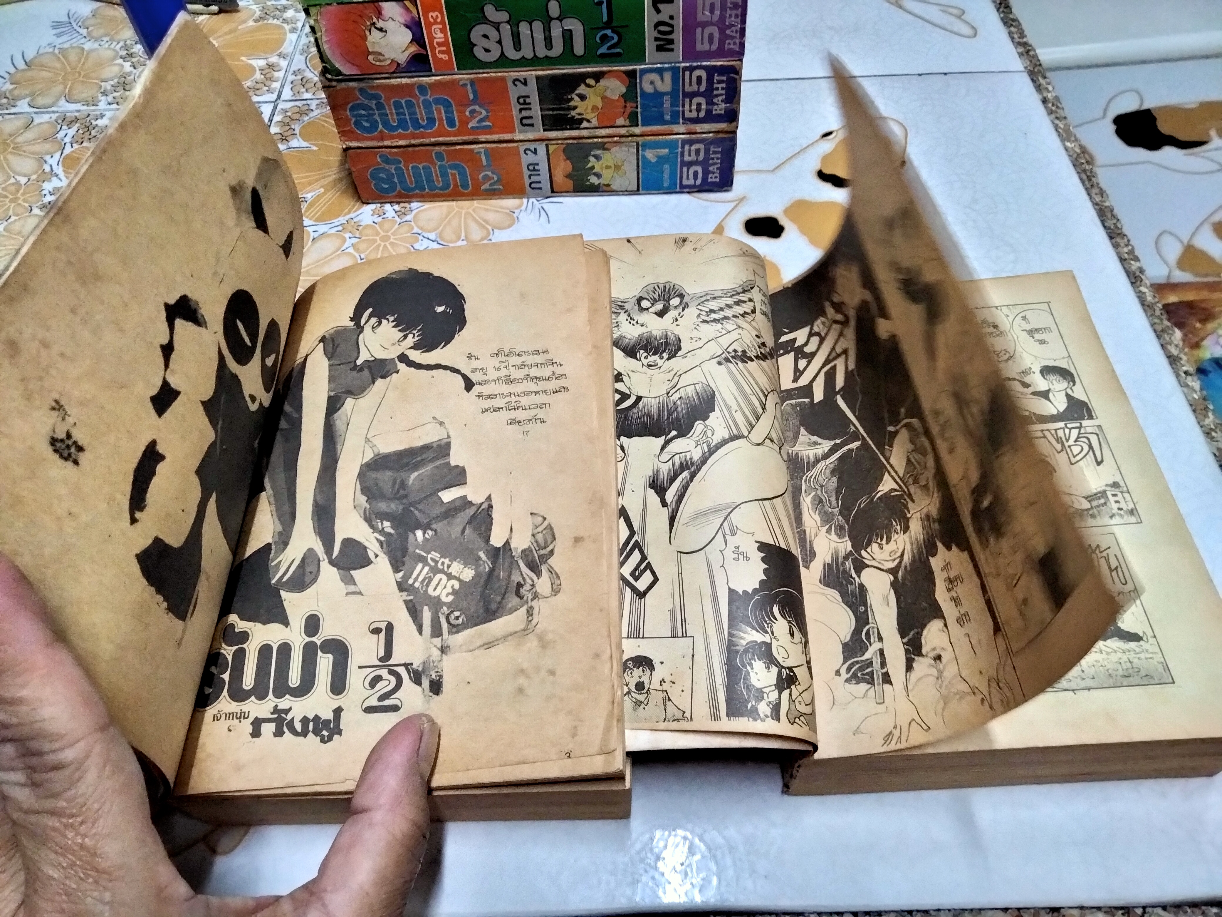 รันม่า 1/2 เจ้าหนุ่มกังฟู 3 ภาค - 6 เล่ม (เล่มหนา-มิตรไมตรี) STORY & ILLUSTRATED BY TAKAHASHI RUMIKO