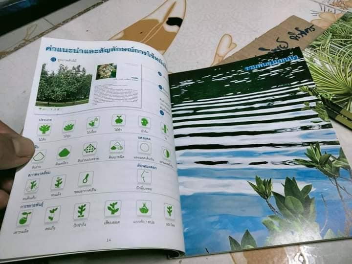 ไม้ทนน้ำ - คู่มือคนรักต้นไม้ชุดที่ 6 โดย อุไร จิรมงคลการ