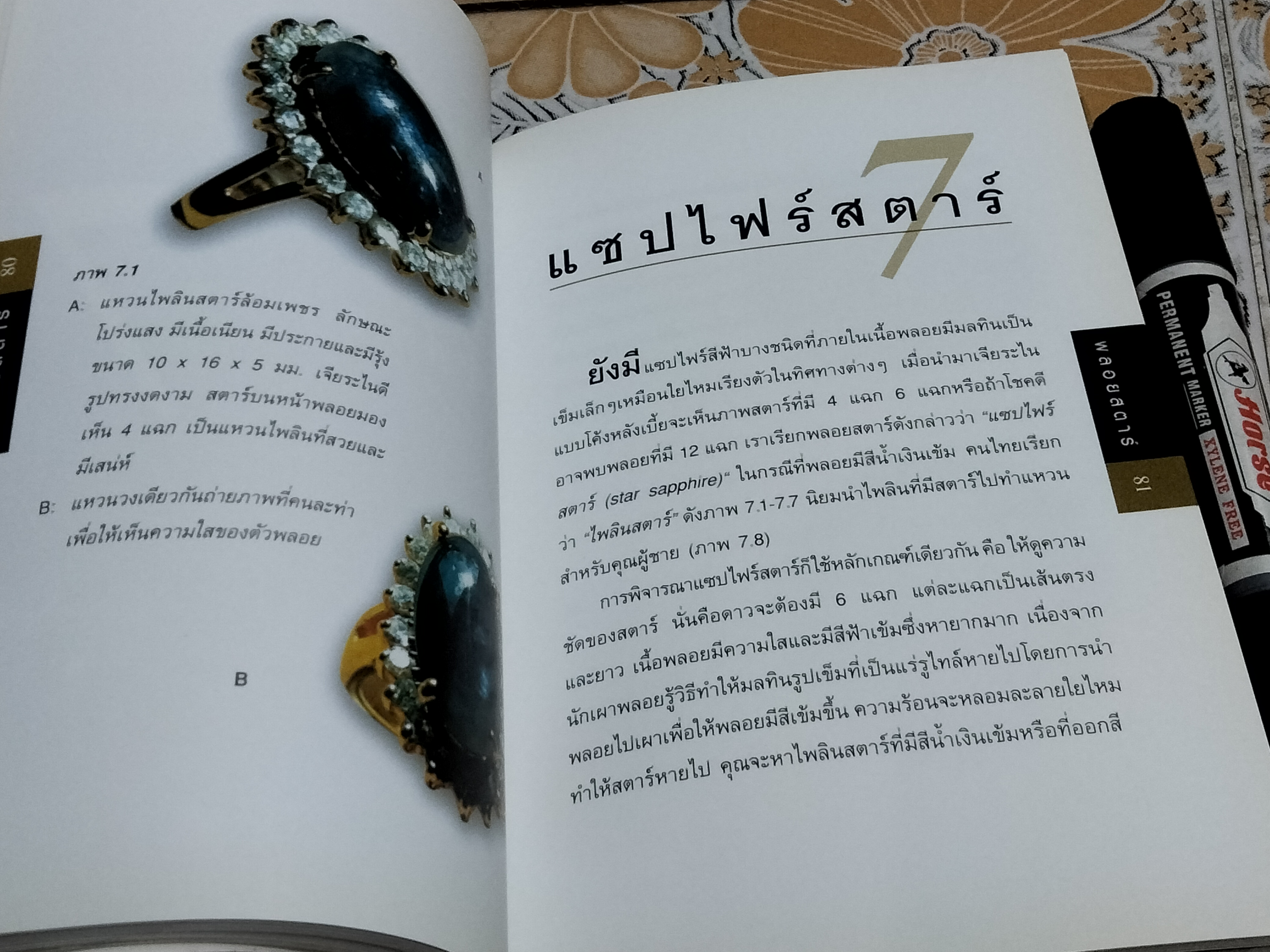 พลอยสตาร์ - พรทิพย์ โล่ห์เลขา