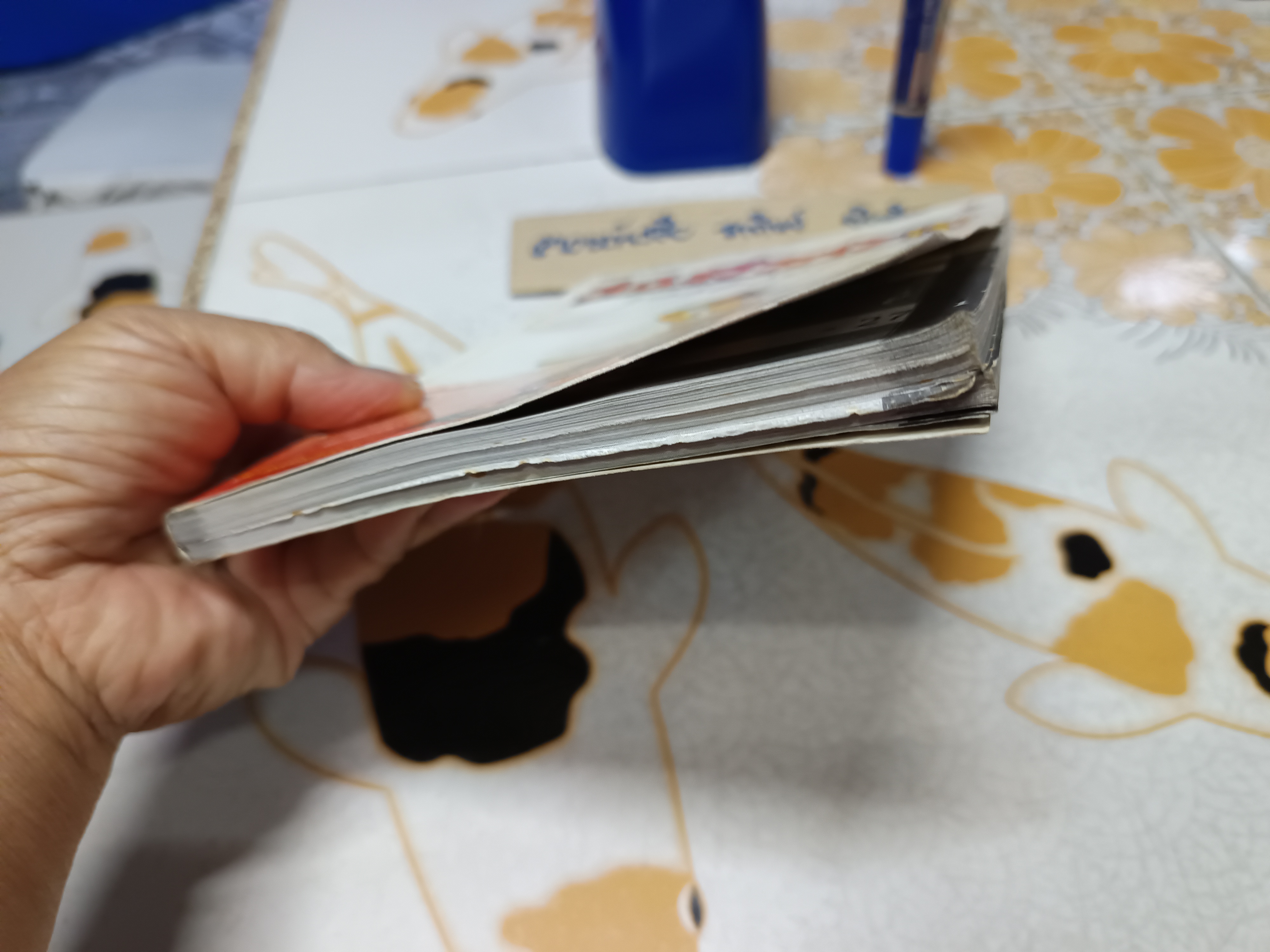 คู่มือเฉลยเกมส์ BREATH OF FIRE IV / BREATH OF FIRE 4 (PS1)