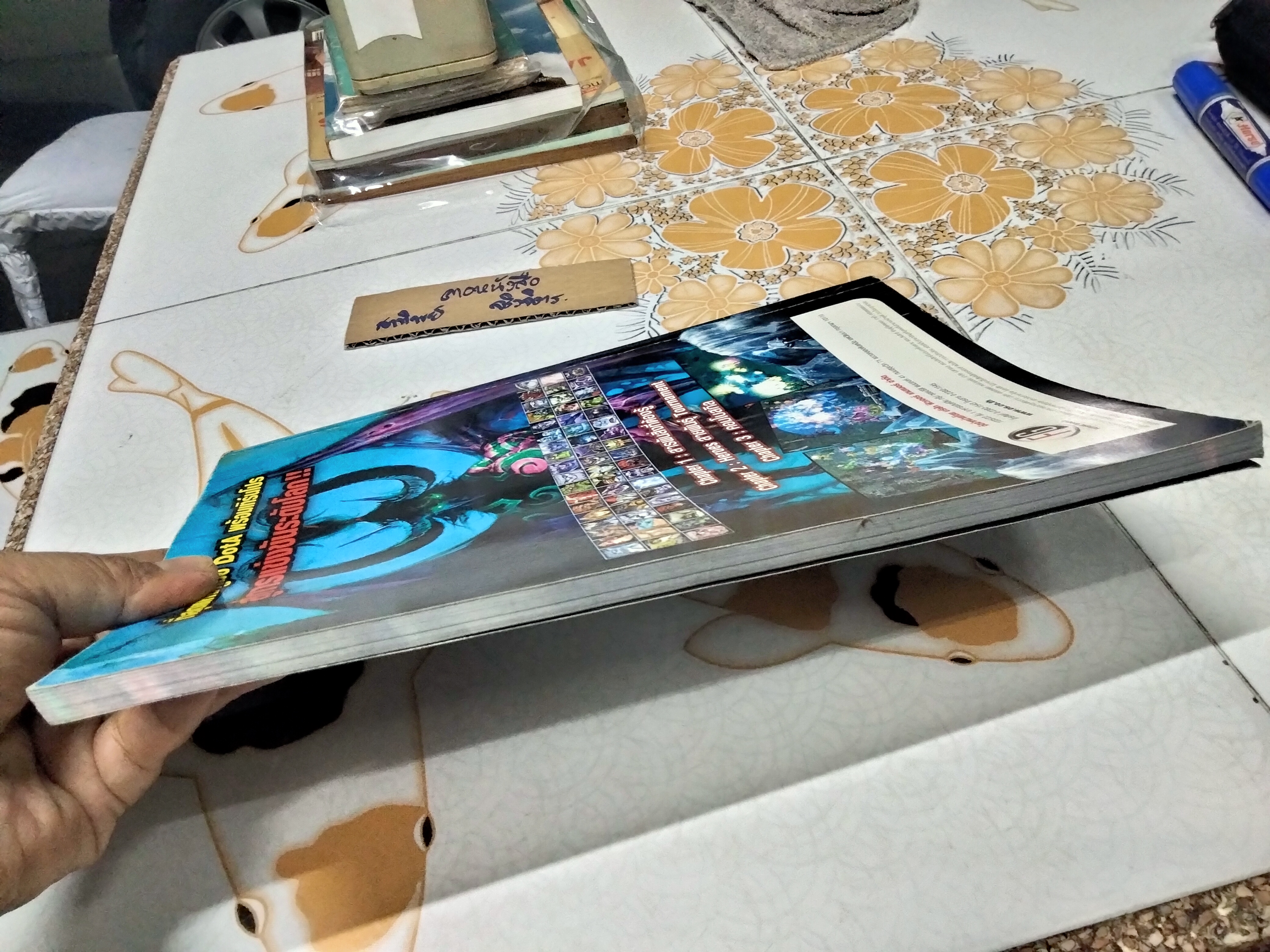 คู่มือ Dota Heroes สายพันธุ์ Tournament ขนาด A4