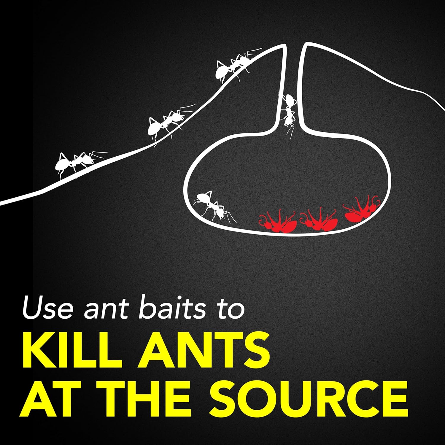 Raid® Ant Baits Kill the Colony 8 Count ผลิตภัณฑ์กำจัดมด ไล่มด สำหรับใช้ในครัวเรือน