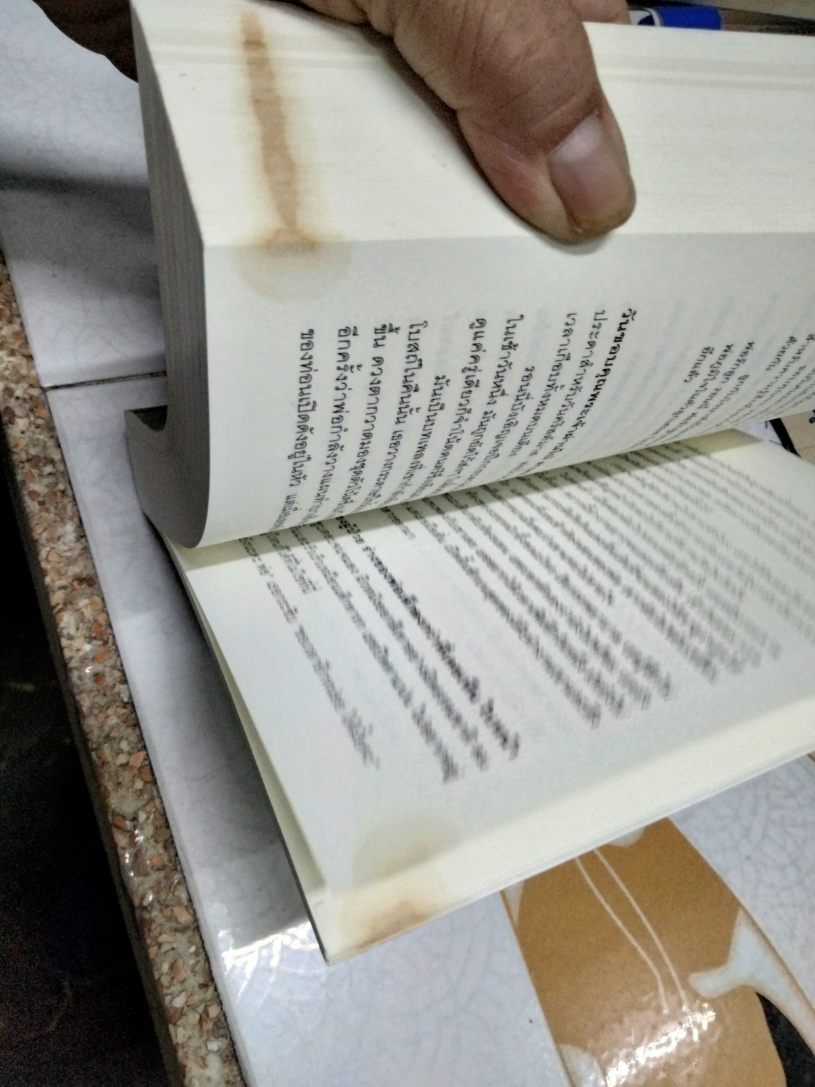 เพลงรักบทสุดท้าย The Last Song - นิโคลัส สปาร์กส์ เขียน , วรางคณา เหมศุกล แปล