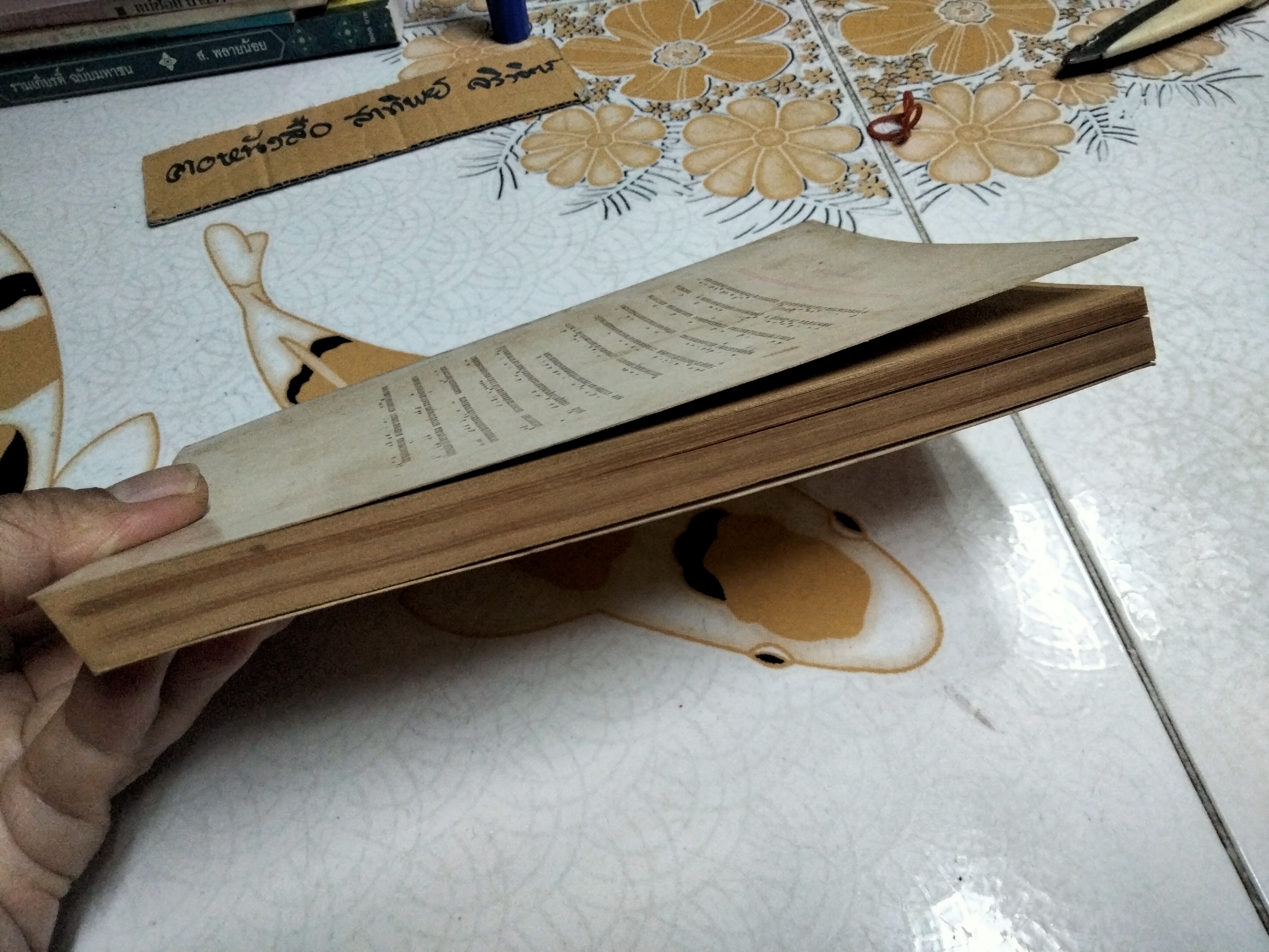 ประสบการณ์ในยมโลก เป็นเรื่องประสบการณ์ในชีวิตจริงของ พลตรีสมาน วีระไวทยะ, พระนิกร ปุญญลาโภ