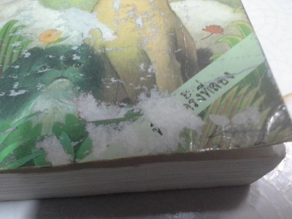 บ้านดอกไม้ โดย ผกาวดี อุตตโมทย์ (หนังสือโดนน้ำ) **สินค้าหมด**