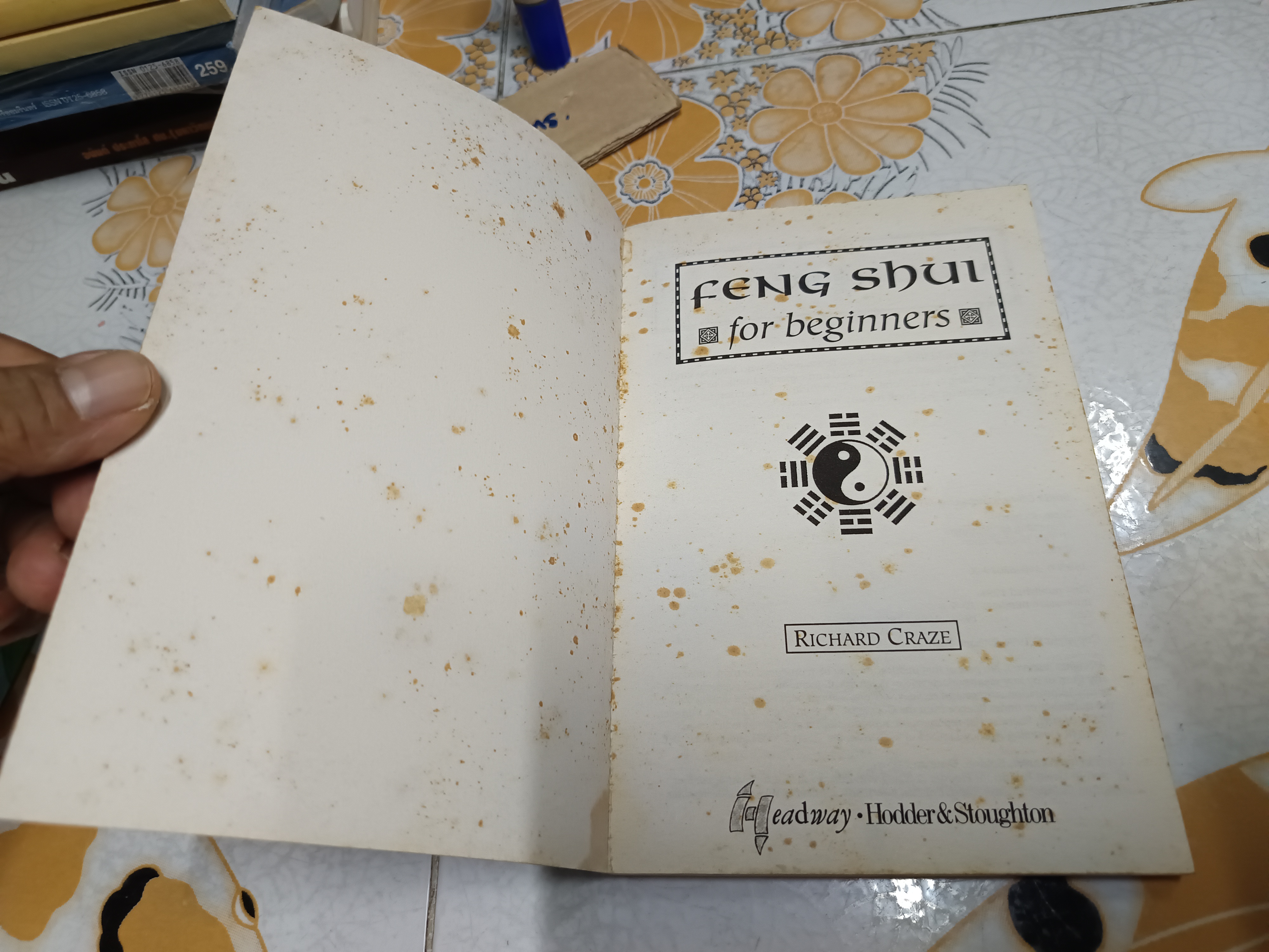 FENG SHUI FOR BEGINNERS by RICHARD CRAZE