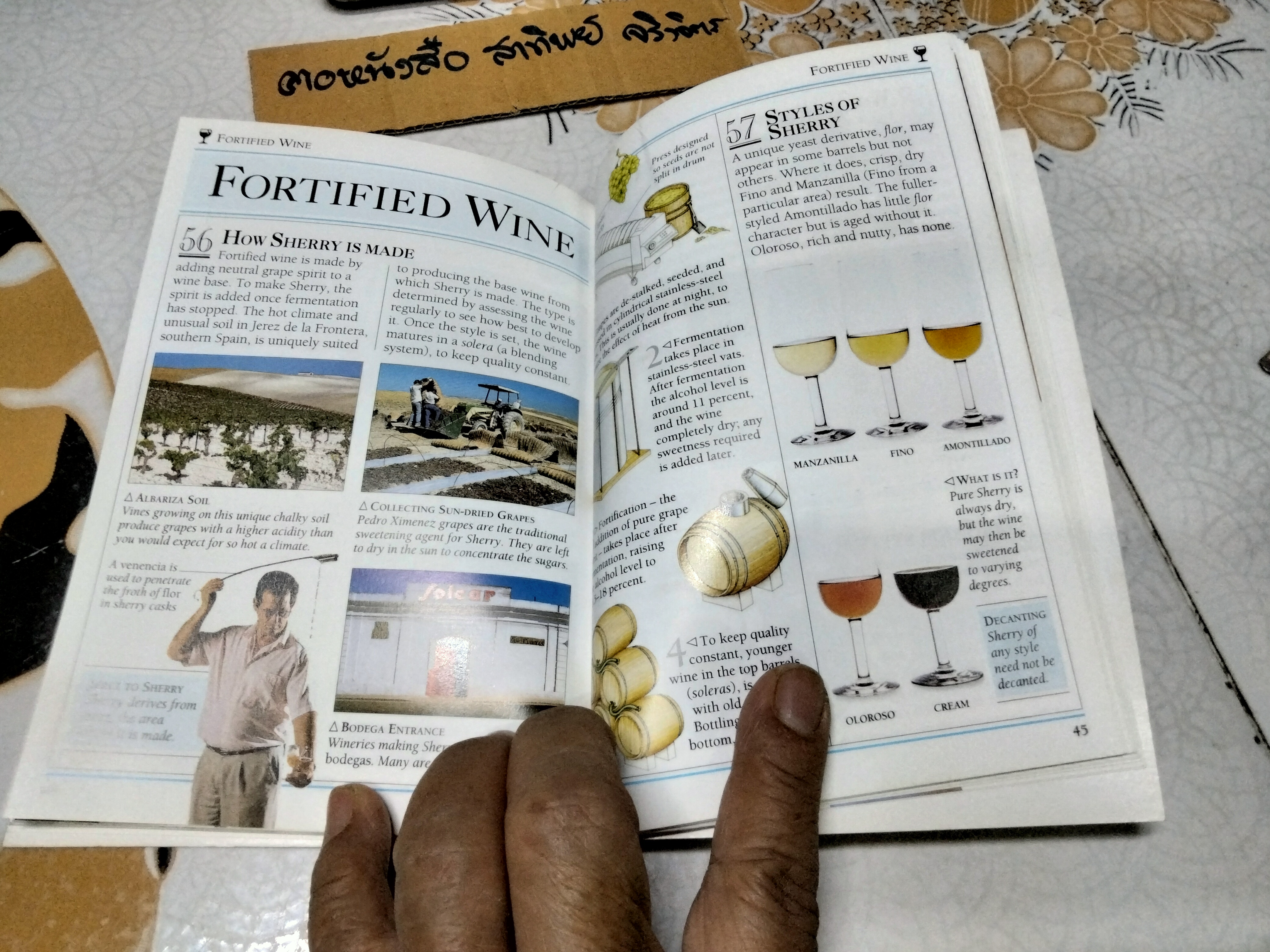 101 Essential Tips Wine by Tom Stevenson