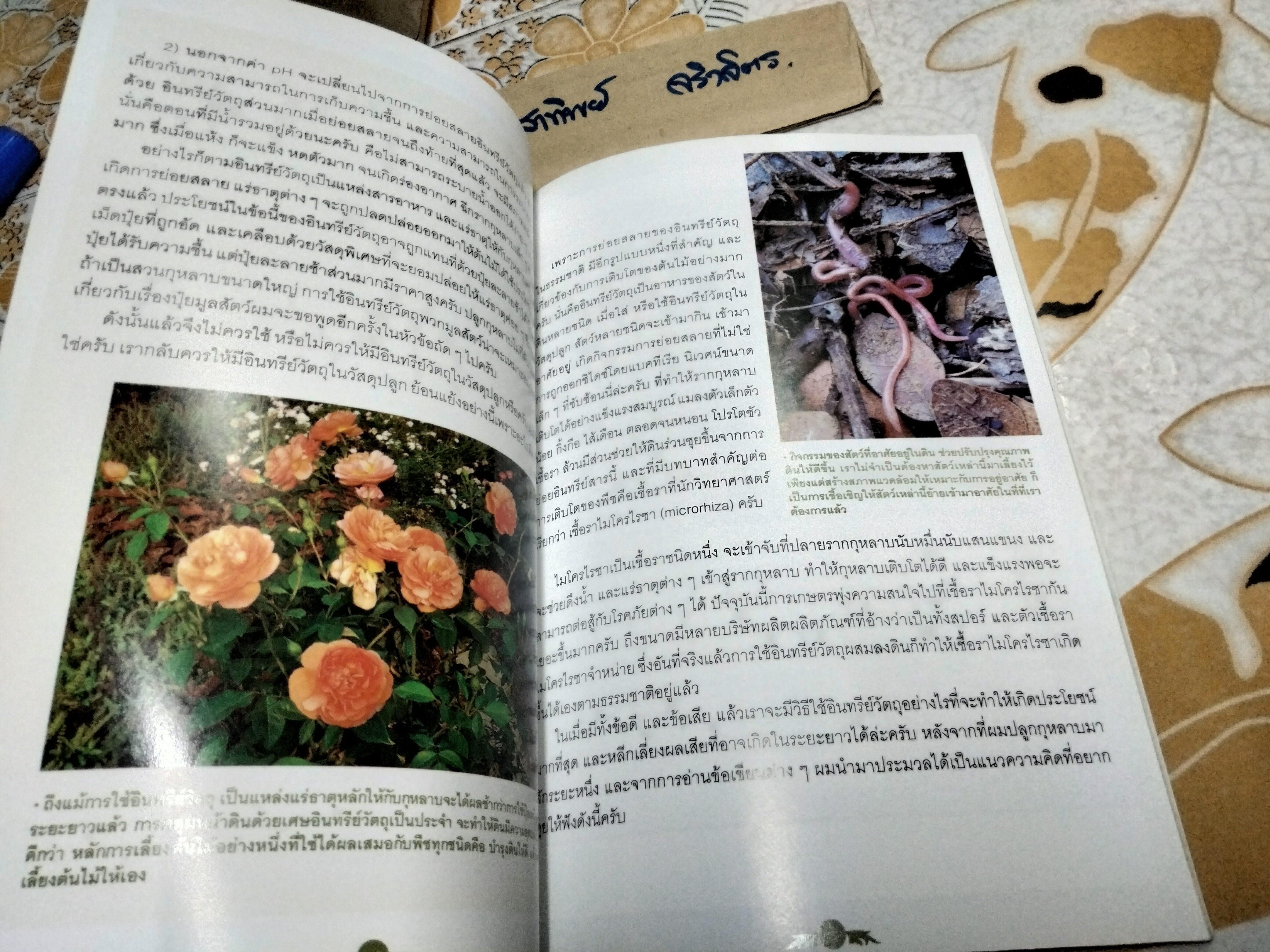 เรื่องเล่า จากคนรักกุหลาบ ANOTHER ROSE STORY By mynamemathew (เล่มละ) **สินค้าหมด**