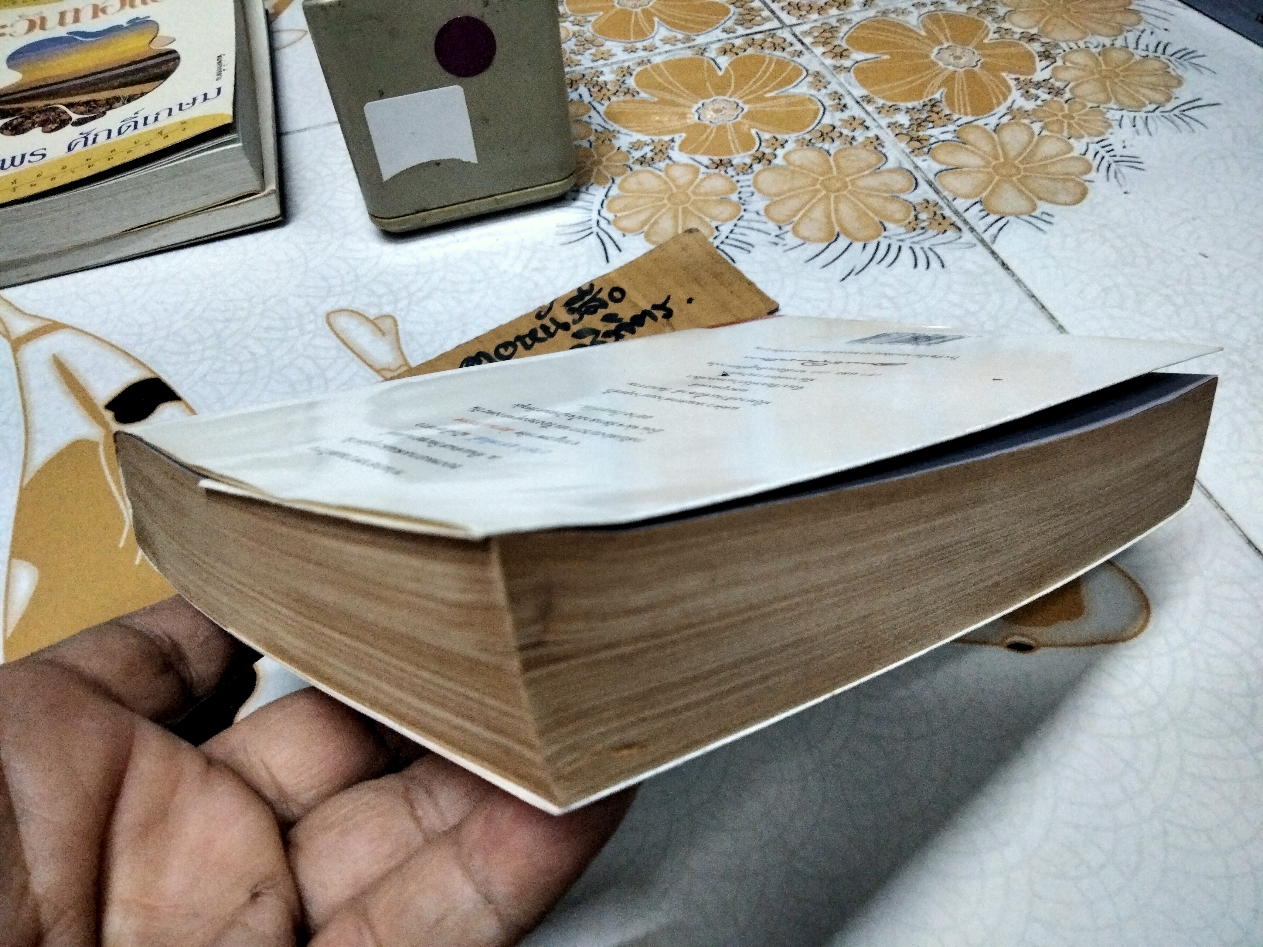 ดวงตะวันในควันหมอก (เล่มเดียวจบ) เพ็ญ ภัคตะ