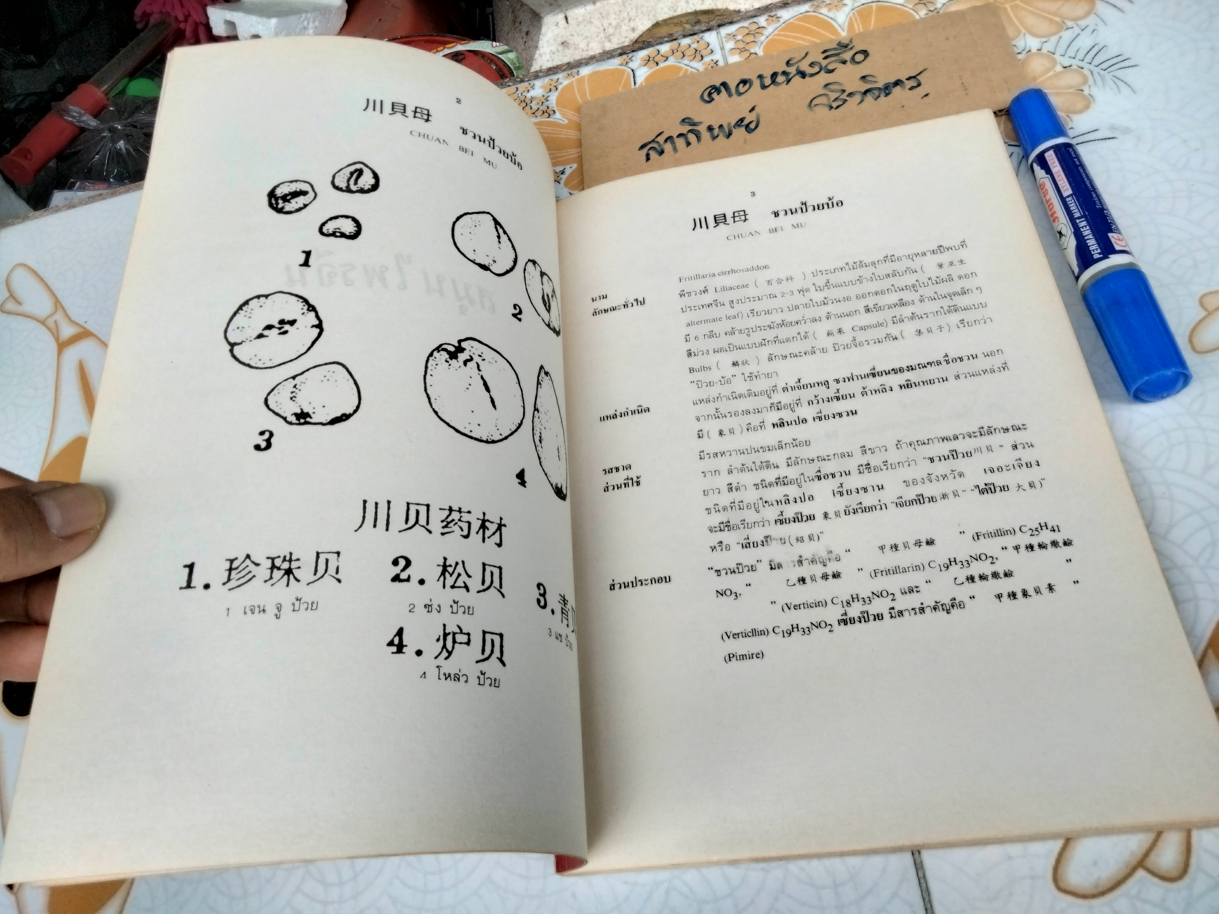 สมุนไพรจีน - รวบรวมเรียบเรียงและจัดพิมพ์ โดย นายเจนกิจ เวชพงศา **สินค้าหมด**