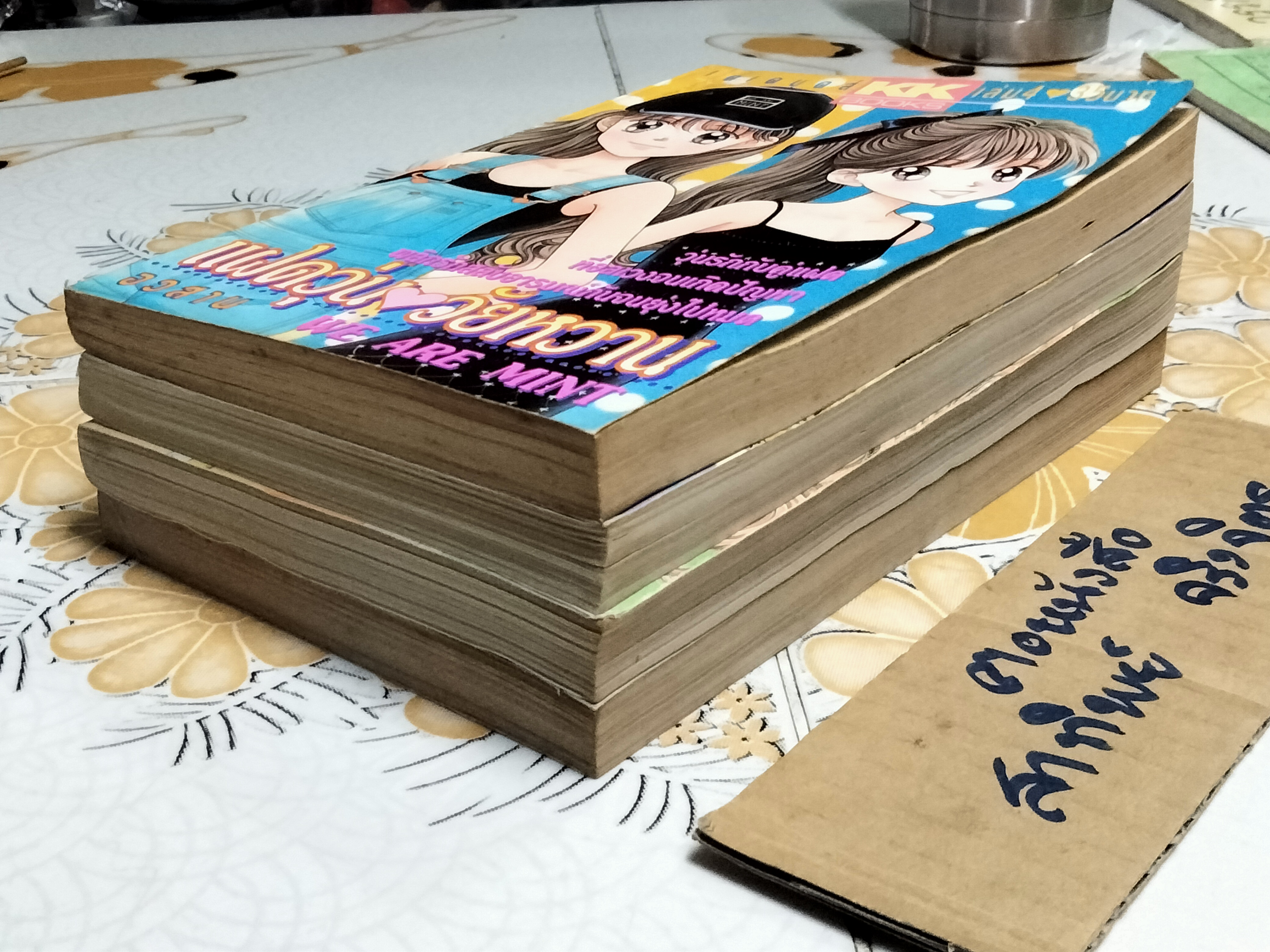 แฝดวุ่นวัยหวาน (4 เล่มจบ)