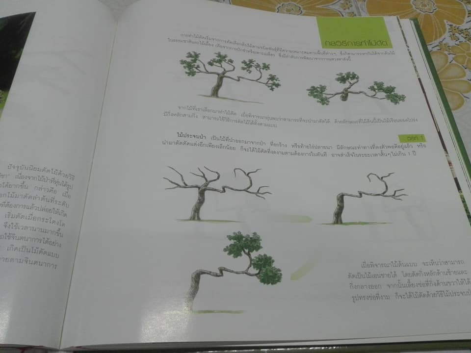 ไม้ดัดไทย (ปกแข็ง) โดย บัญชา เขมธร - ภูวดล น้ำดอกไม้ (มือหนึ่ง ในซีล) **สินค้าหมด**