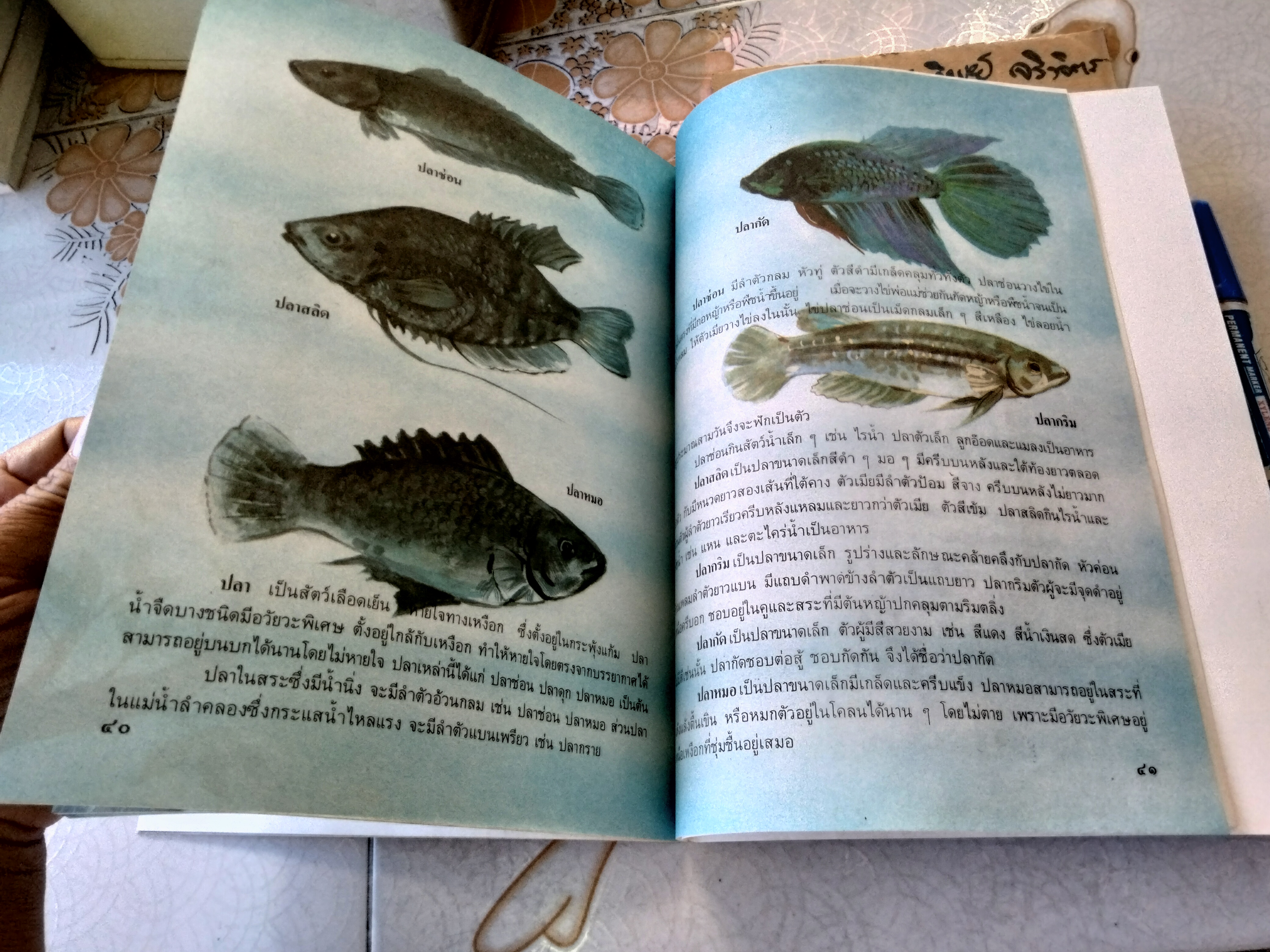 ในสระจ้อย #หนังสือส่งเสริมการอ่านระดับประถมศึกษา (หนังสือเตรียมทำหนังสือห้องสมุด-สภาพดี)