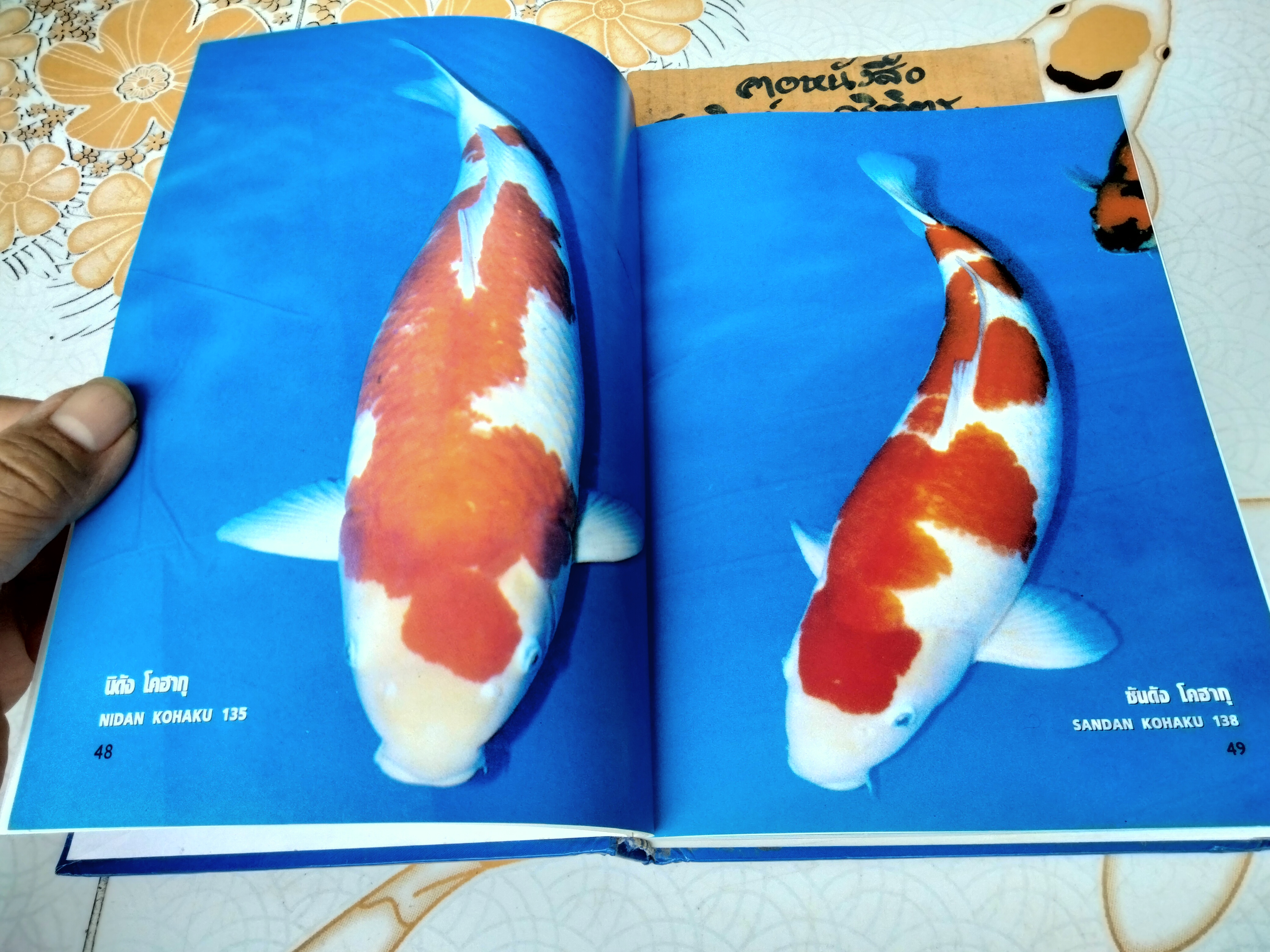 คู่มือเลี้ยงปลาคาร์พ โดย สุรศักดิ์ วงศ์กิตติเวช HANDBOOK OF NISHIKIGOI **สินค้าหมด**