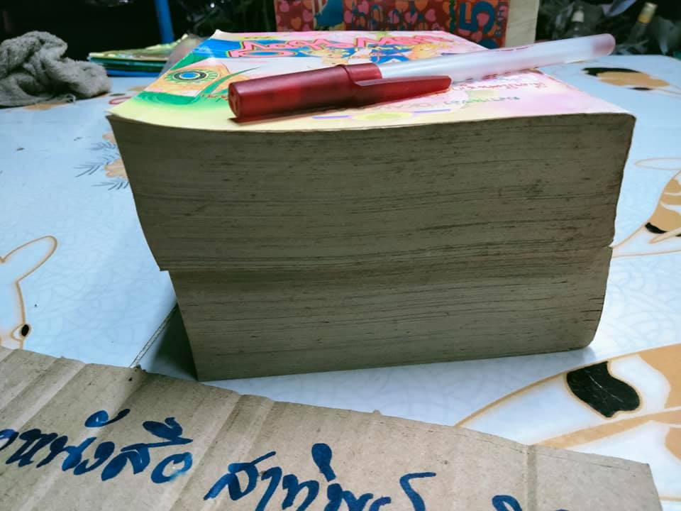 ปริศนาลับแพนซี (2 เล่มจบ) ผลงาน Okamura Mariko **สินค้าหมด**