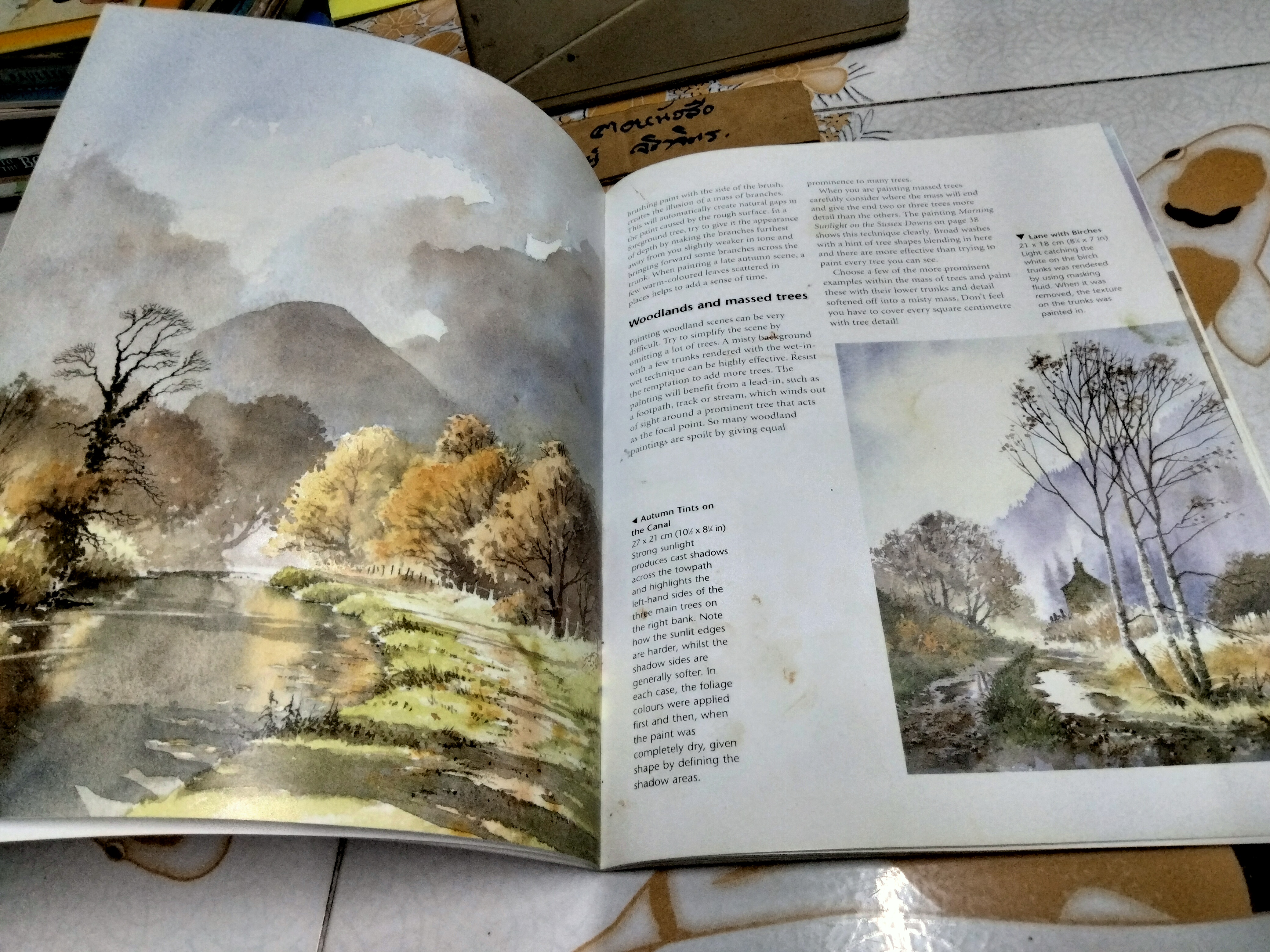 Watercolour Landscapes by David Bellamy Collins - Learn to Paint