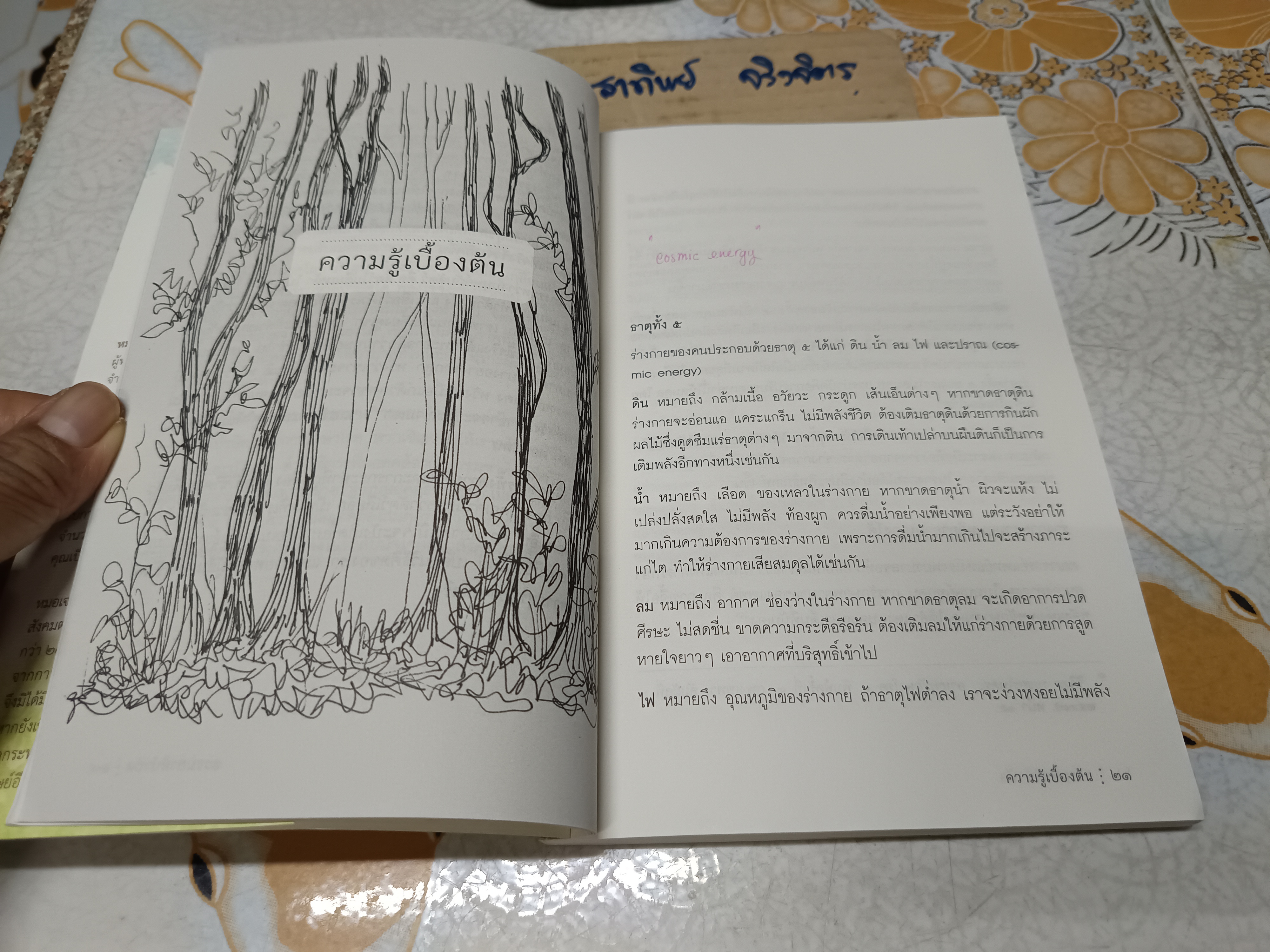 ธรรมชาติบำบัด: ศิลปะการเยียวยาร่างกายและจิตใจเพื่อสมดุลของชีวิต (พิมพ์ครั้งที่ 18/2561) มีรอยขีดเส้นใต้ด้วยดินสอบ้างประปราย