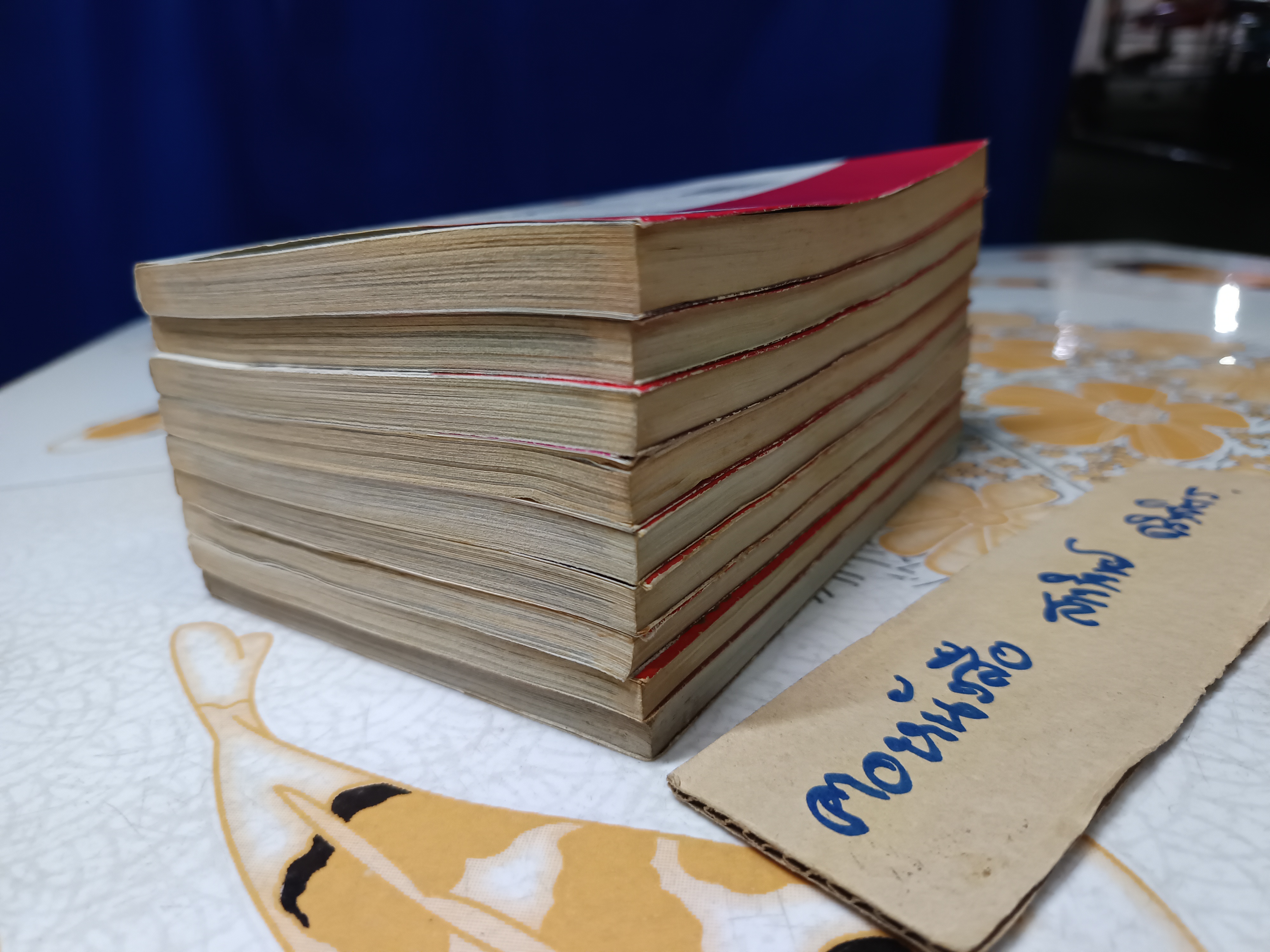 Nora อสูรซ่าท้าเด็กแสบ (9 เล่มจบ) ผลงานของ Kazunari Kakei สำนักพิมพ์ NED