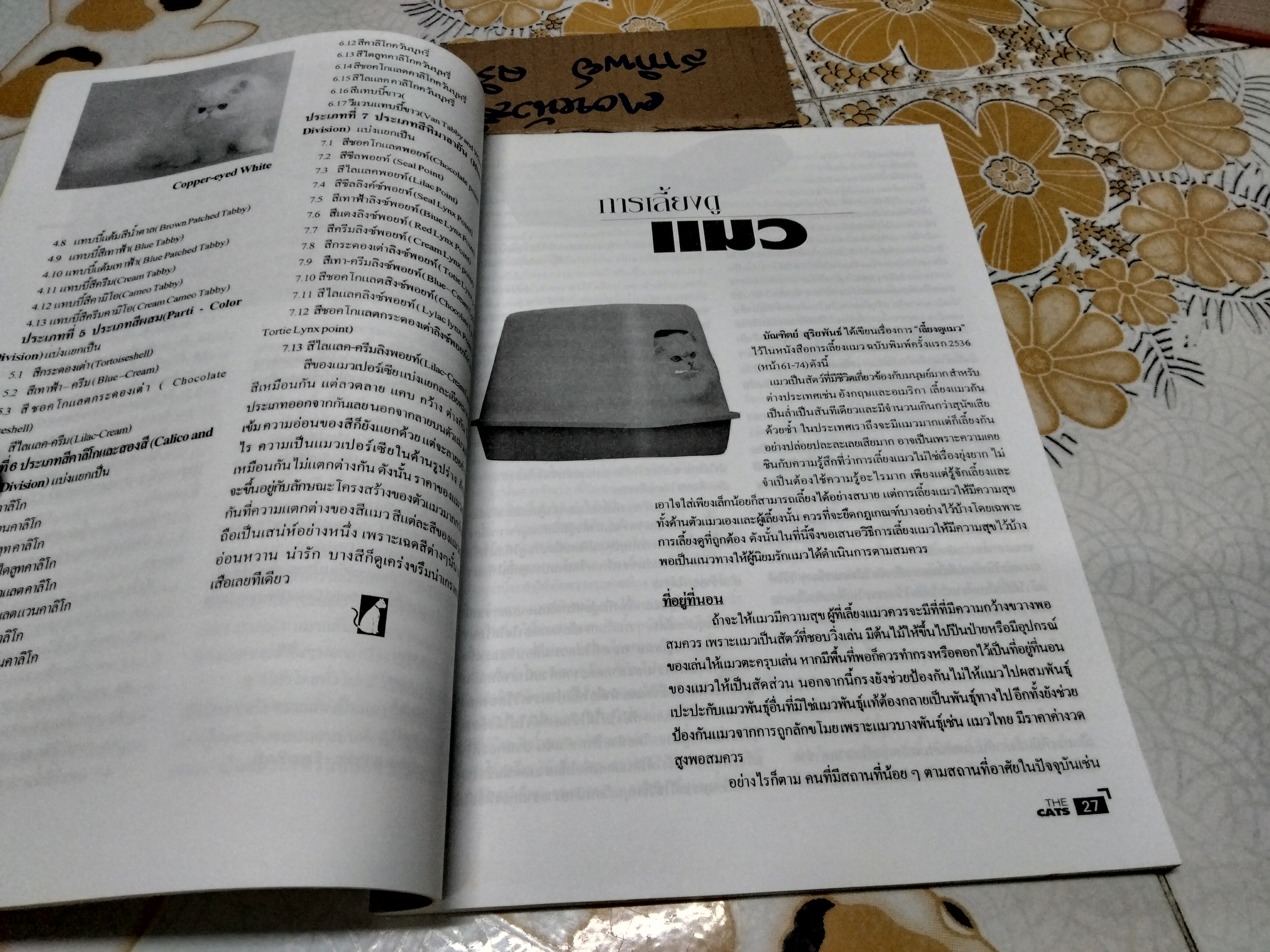 THE CATS คู่มือสำหรับคนรักแมว **สินค้าหมด**