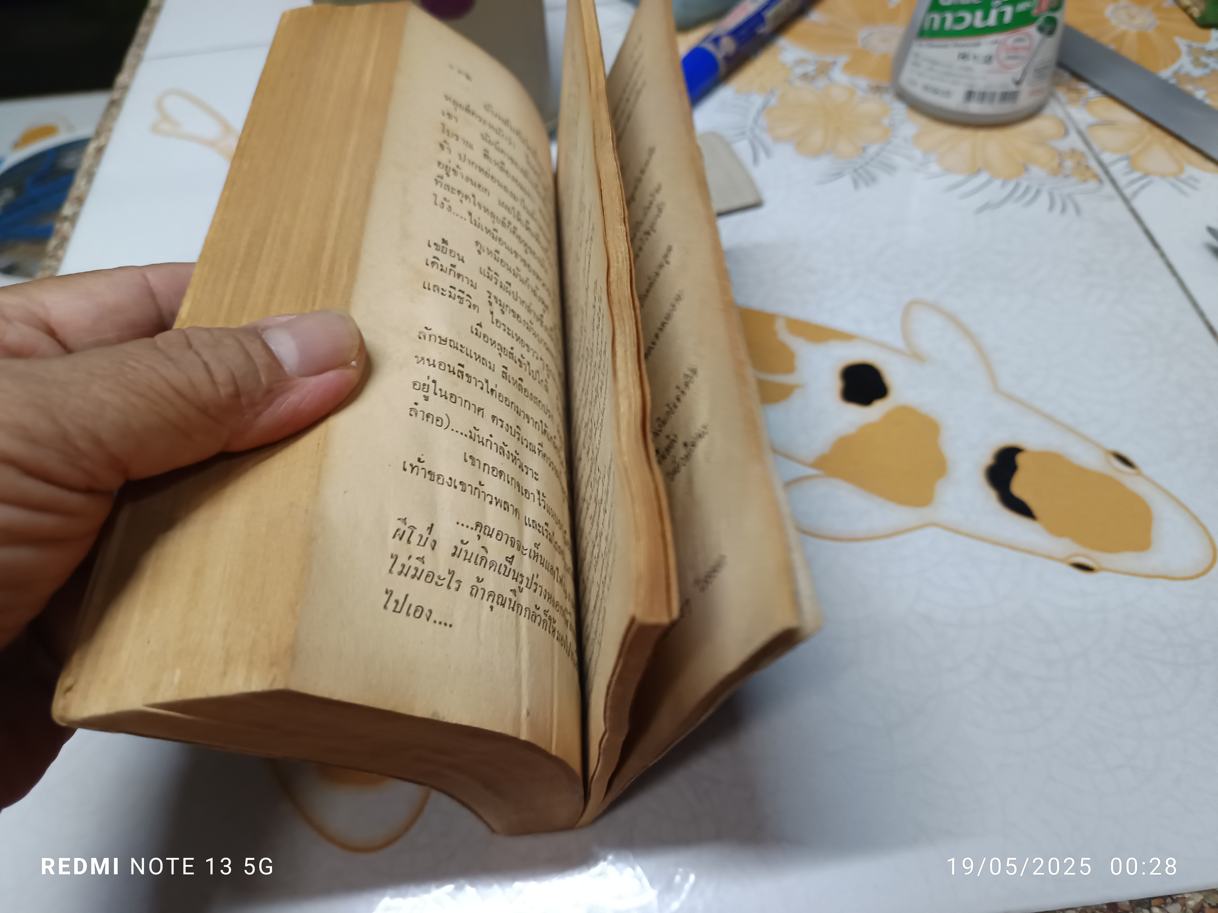 สุสานคืนวิญญาณ (Pet Semetary) ผลงานของ สตีเฟน คิง (Stephen King) แปลโดย ประดิษฐ์ เทวาวงศ์ พิมพ์ครั้งที่ 2/2529