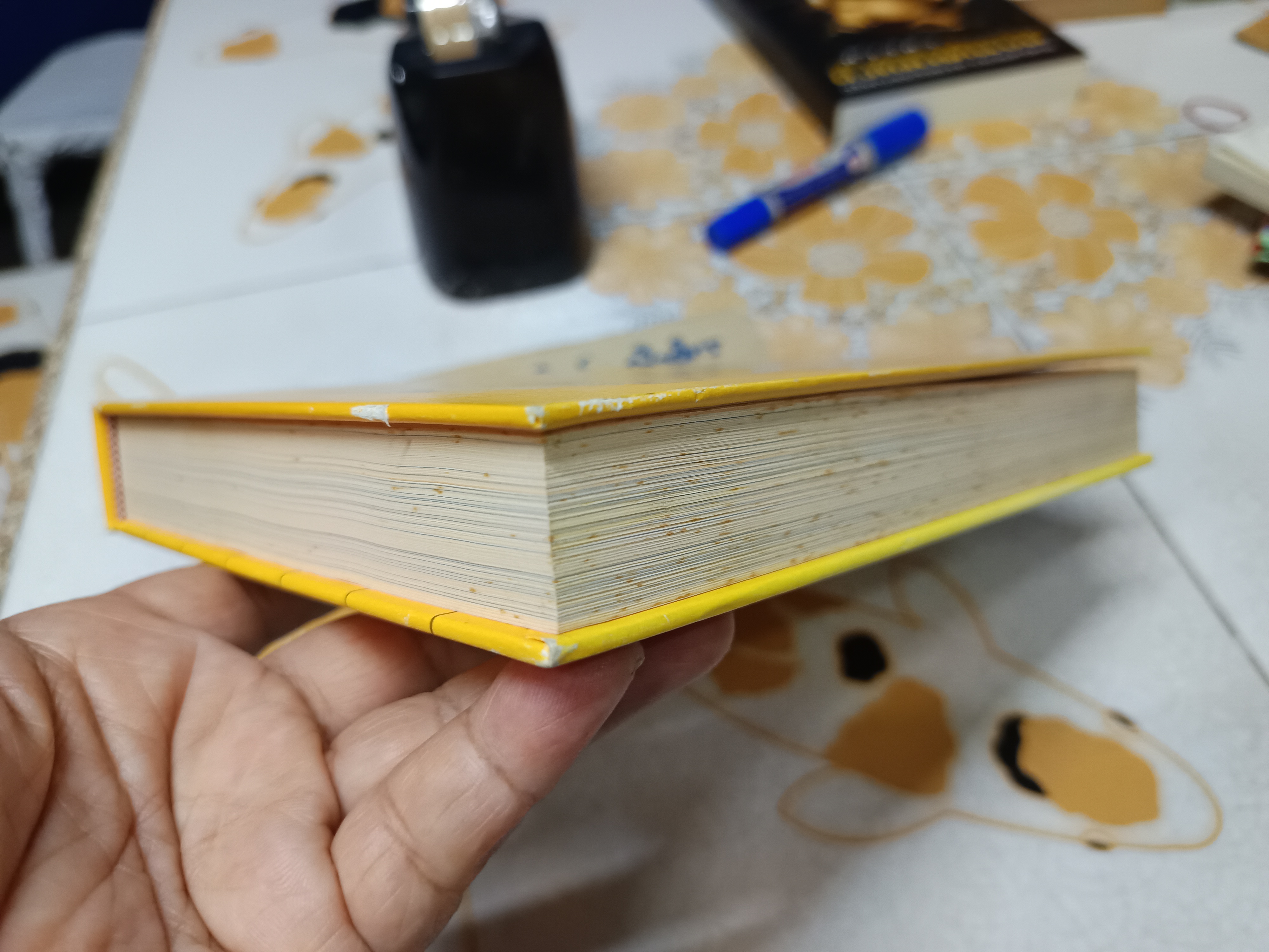 ดินแดนแสนดอกไม้ โดย ทรงกลด บางยี่ขัน พิมพ์ครั้งแรกพ.ศ 2546 , a book