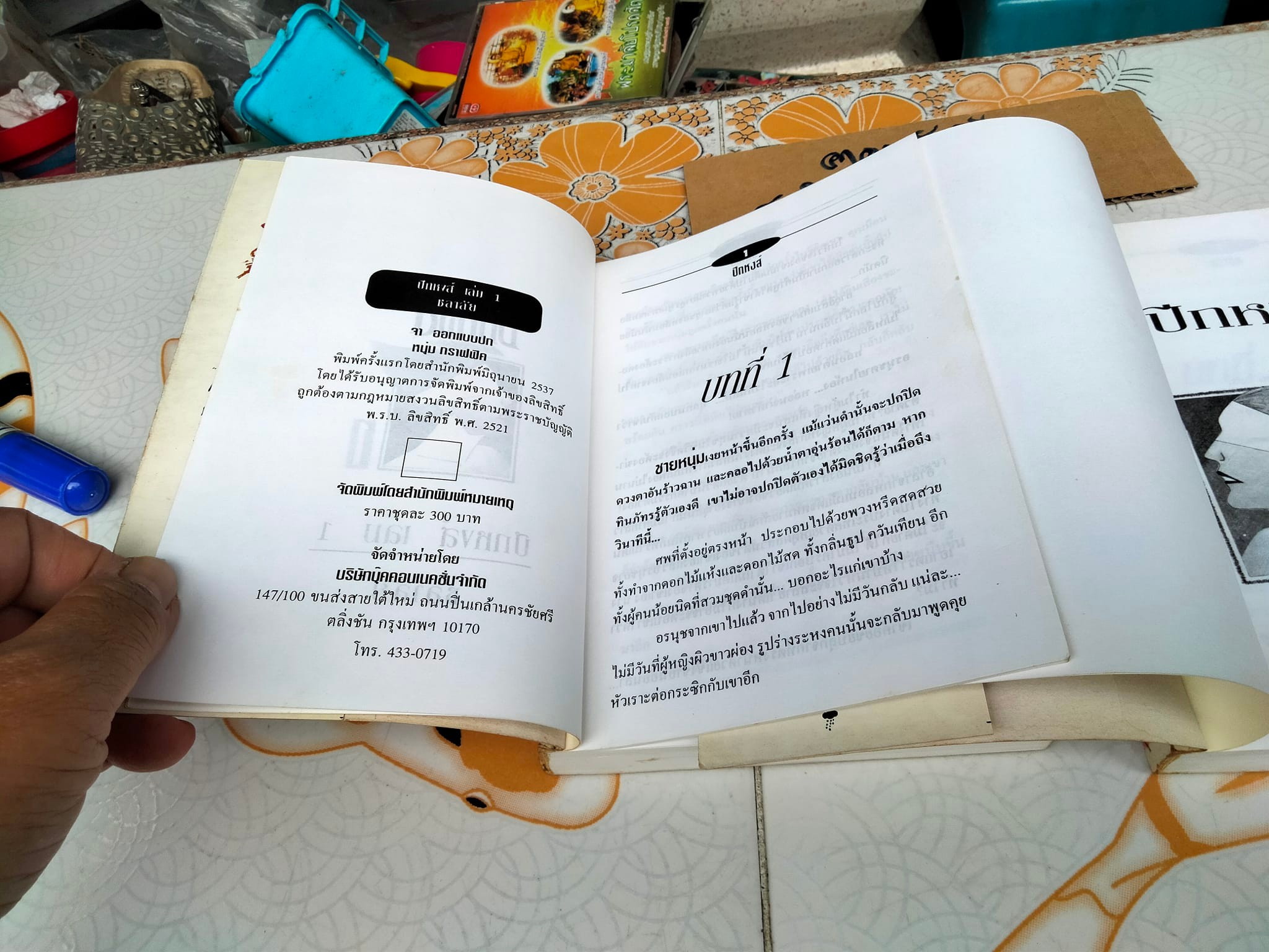 ปีกหงส์ (2 เล่มจบ) - ชลาลัย