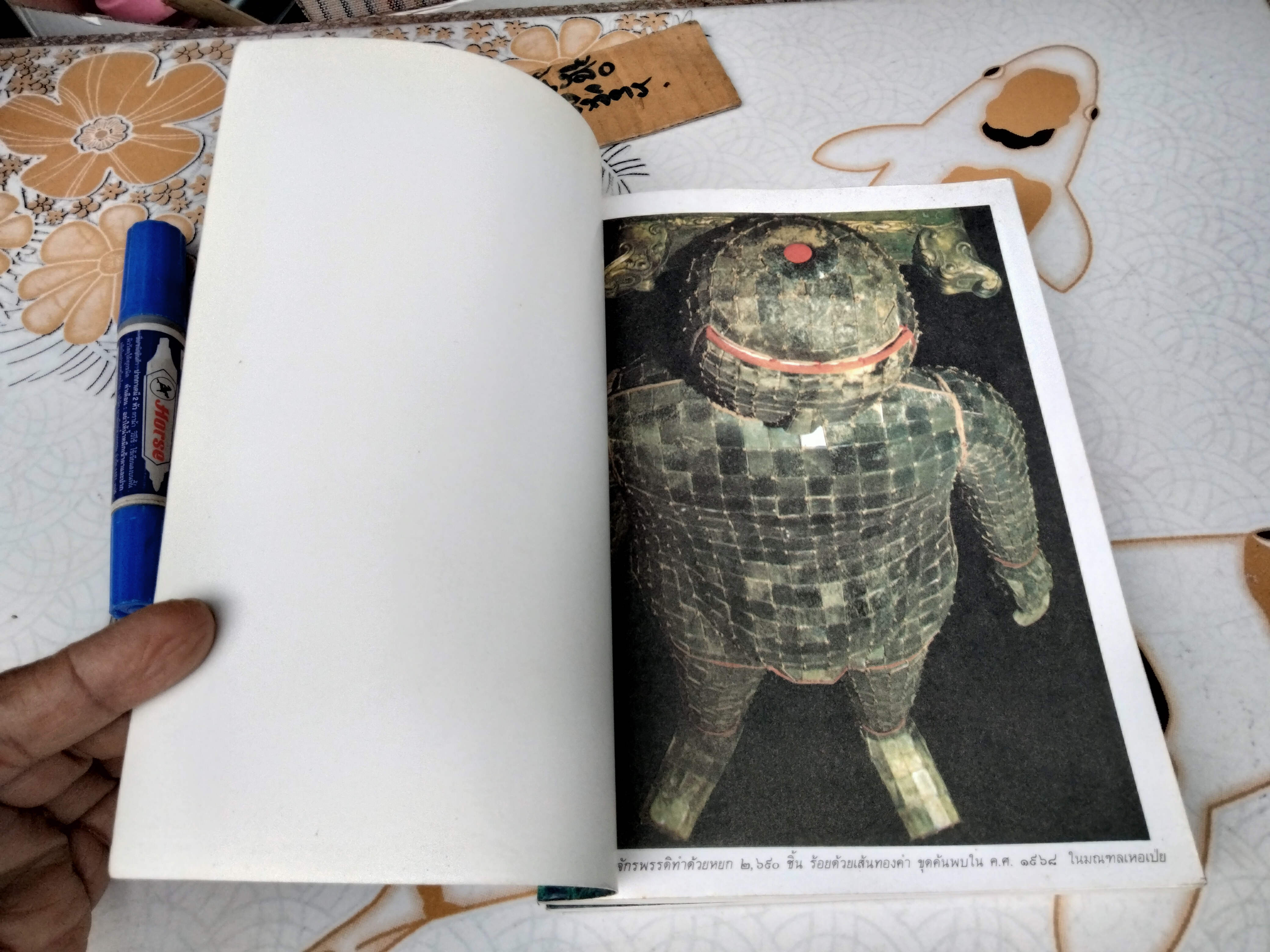 ตะลุยจีน ท่องถิ่นมังกร โดย รศ.วุฒิชัย มูลศิลป์ พิมพ์ พ.ศ.2540 **สินค้าหมด**