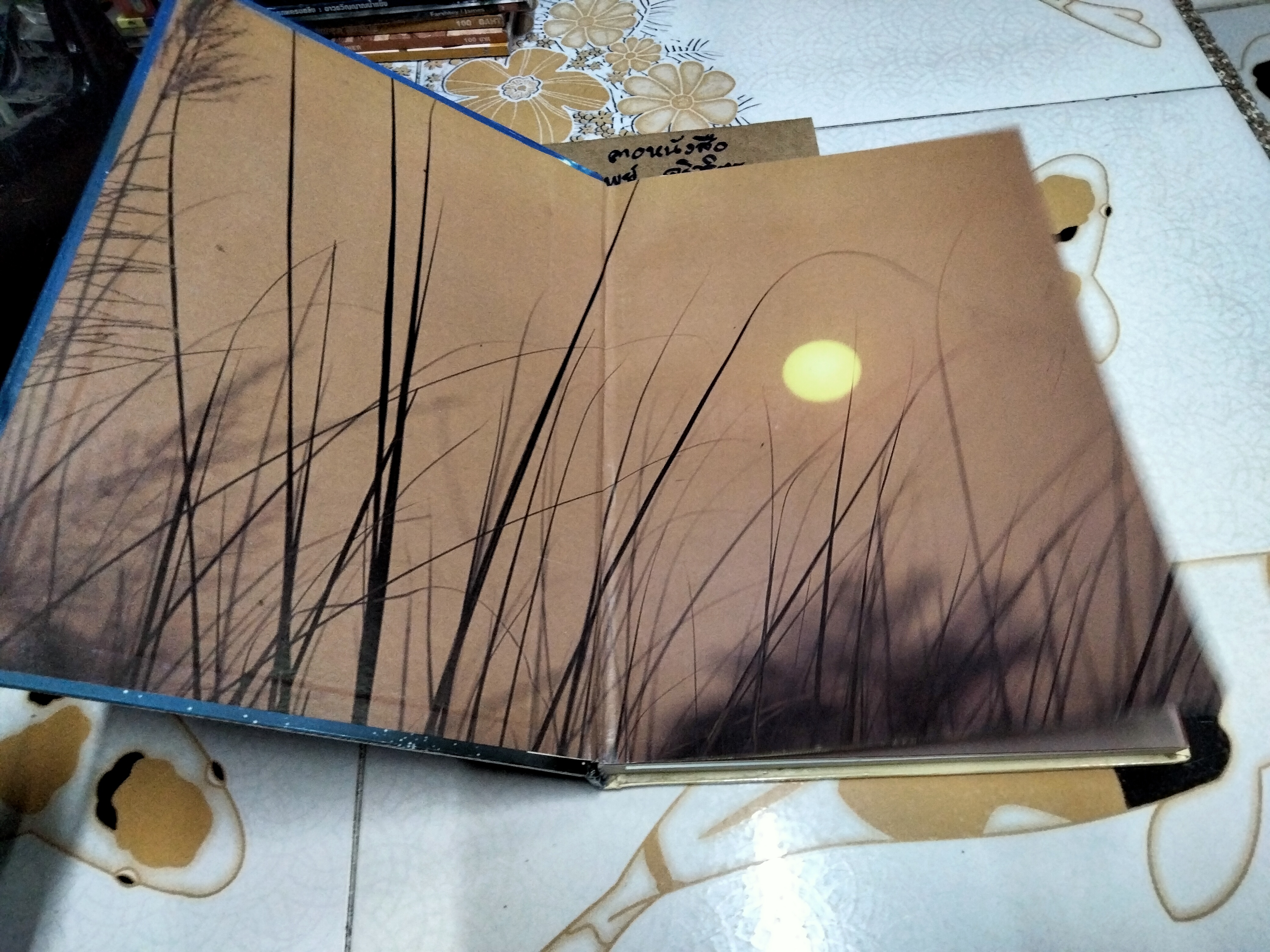 โหราศาสตร์ยุคไฮเทค รหัสชีวิตแห่งจักรวาล โดย อ.วิสาระ ประนมกรณ์ **สินค้าหมด**