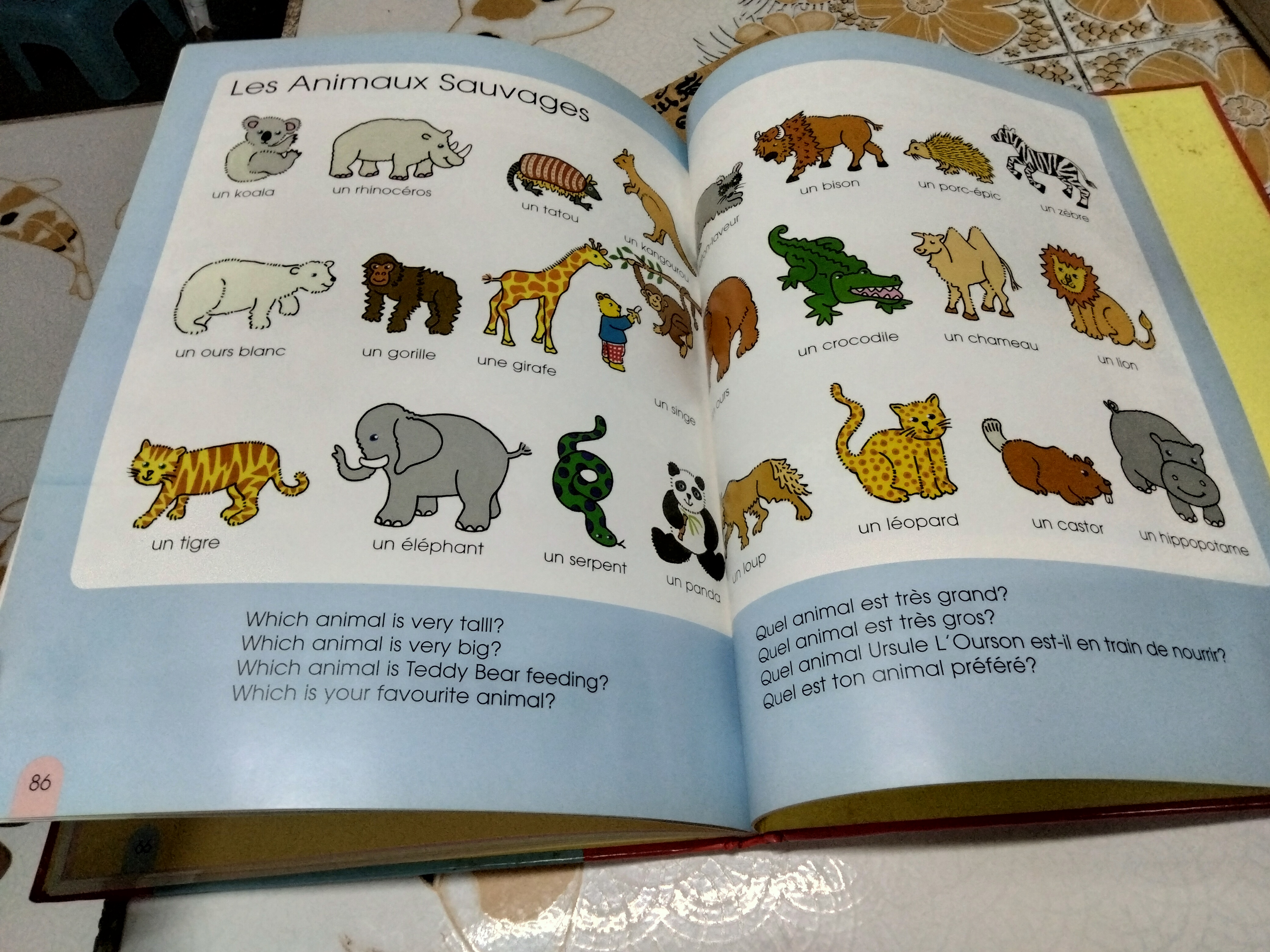 1000 First Words in French. คำศัพท์สำหรับเด็กภาษาอังกฤษ-ฝรั่งเศส พิมพ์ปี 2001 by Armadillo Books