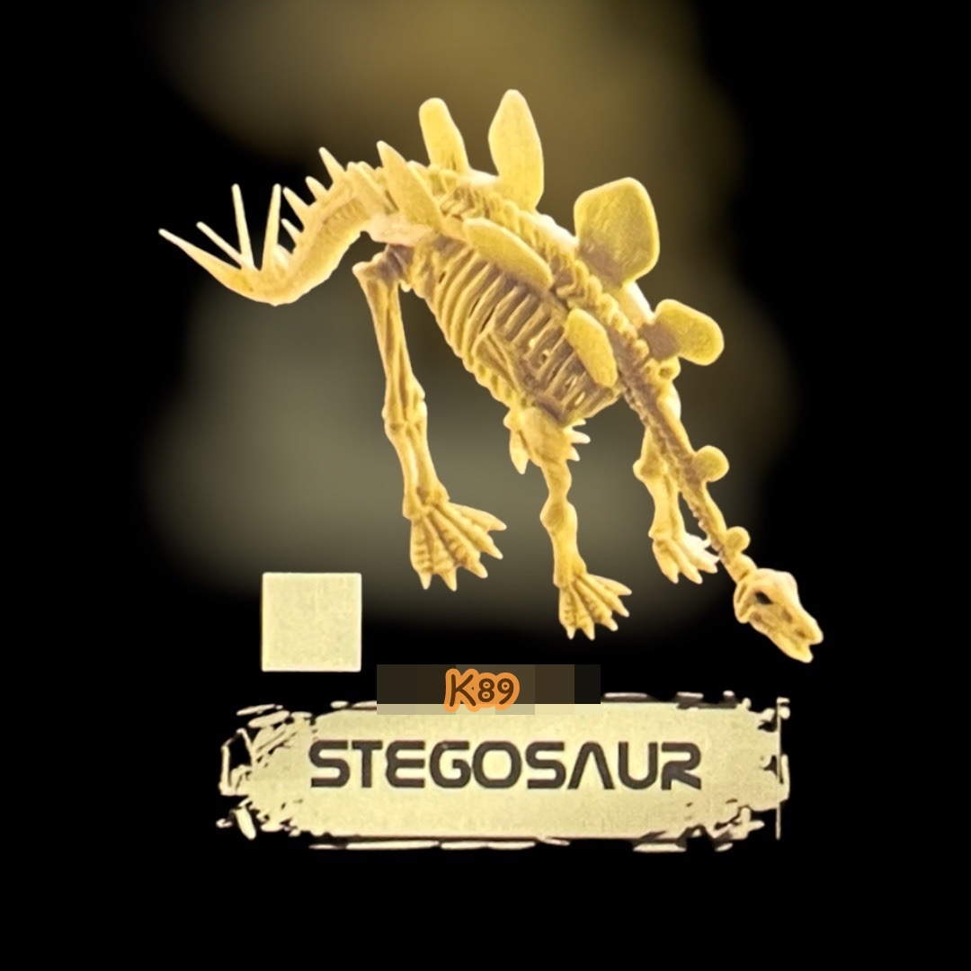 ชุดขุดฟอสซิลไดโนเสาร์