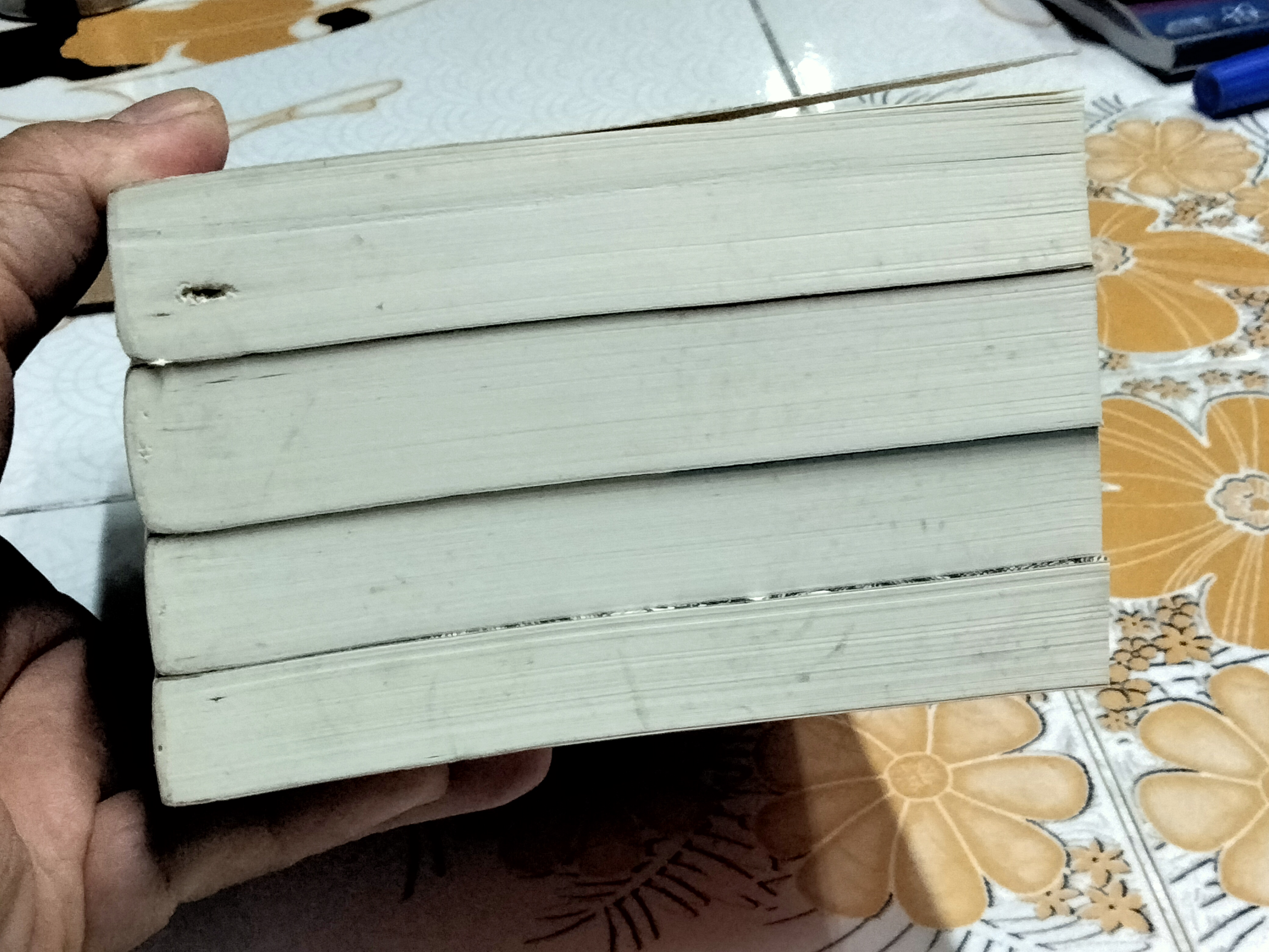 หนังสือชุดไพรมืด (4 เล่มครบชุด) - วัธนา บุญยัง **สินค้าหมด**