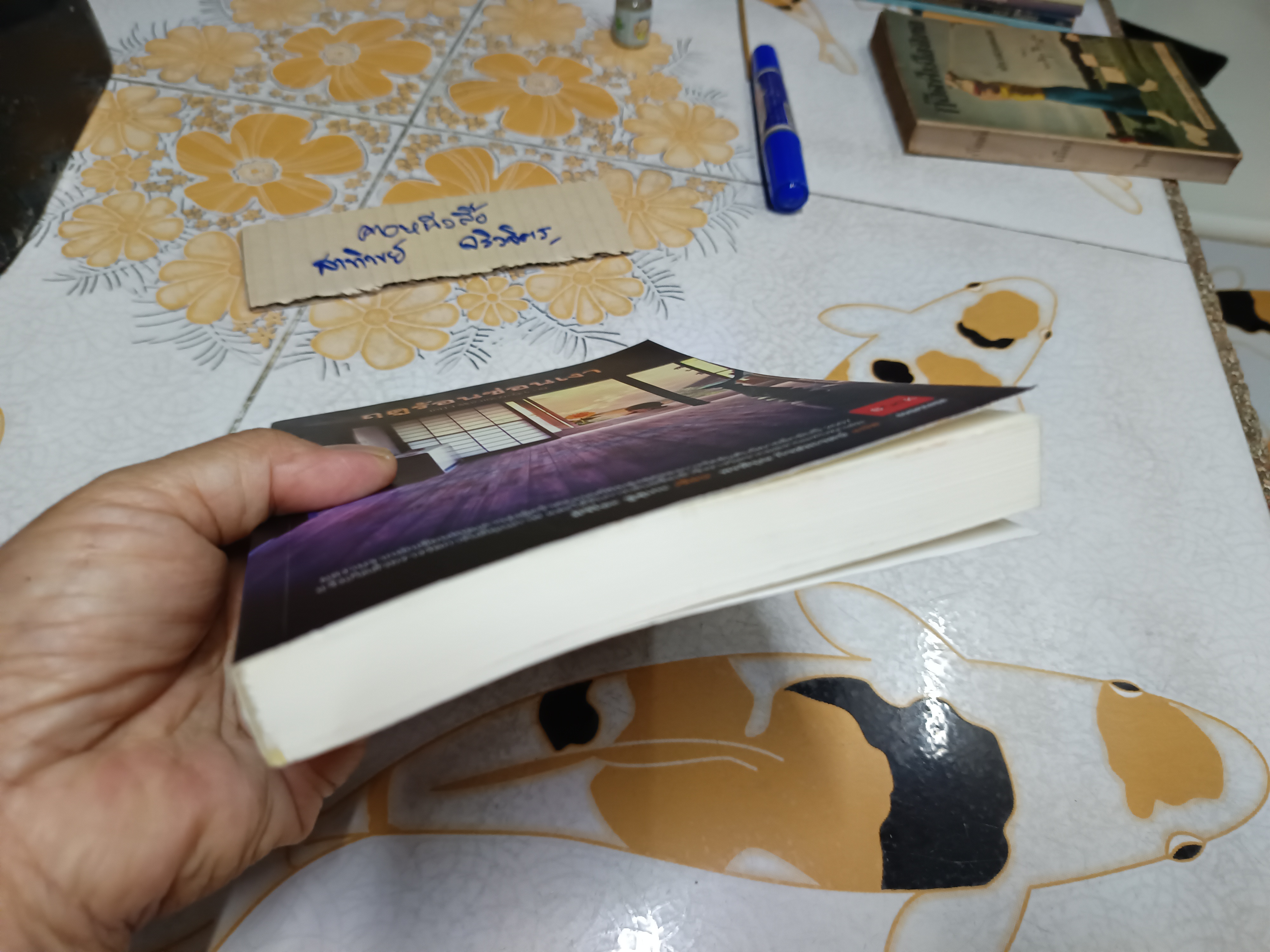 ฤดูร้อนซ่อนเงา มิจิโอะ ซูสุเกะ เขียน พรพิรุณ กิจสมเจตน์ แปล JBook Suspense พิมพ์ครั้งที่ 1 กันยายน 2552 **สินค้าหมด**