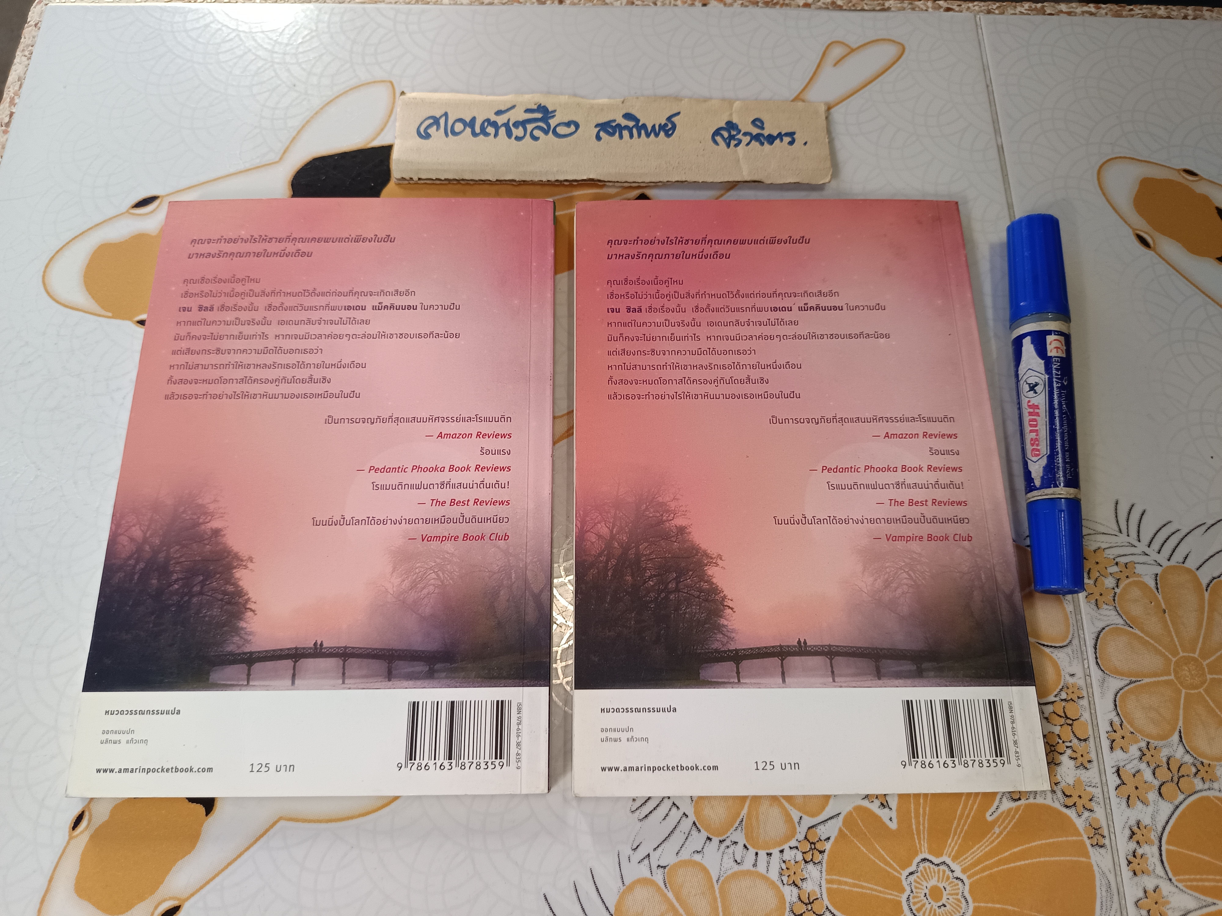 สะพานรักข้ามกาล Into the Dreaming เล่มสุดท้ายของชุด "ไฮแลนเดอร์" คาเรน มารี โมนนิ่ง เขียน ขีดขิน จินดาอนันต์ แปล