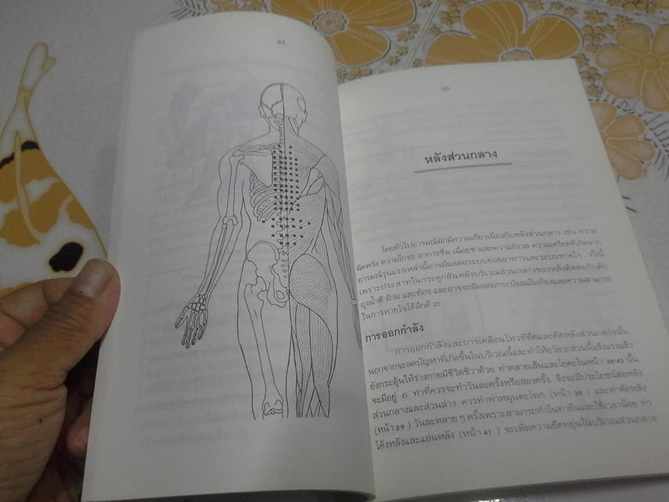 ปวดหลัง ทำอย่างไรให้หายปวด (The Bum Back Book) by Michael Reed Gach