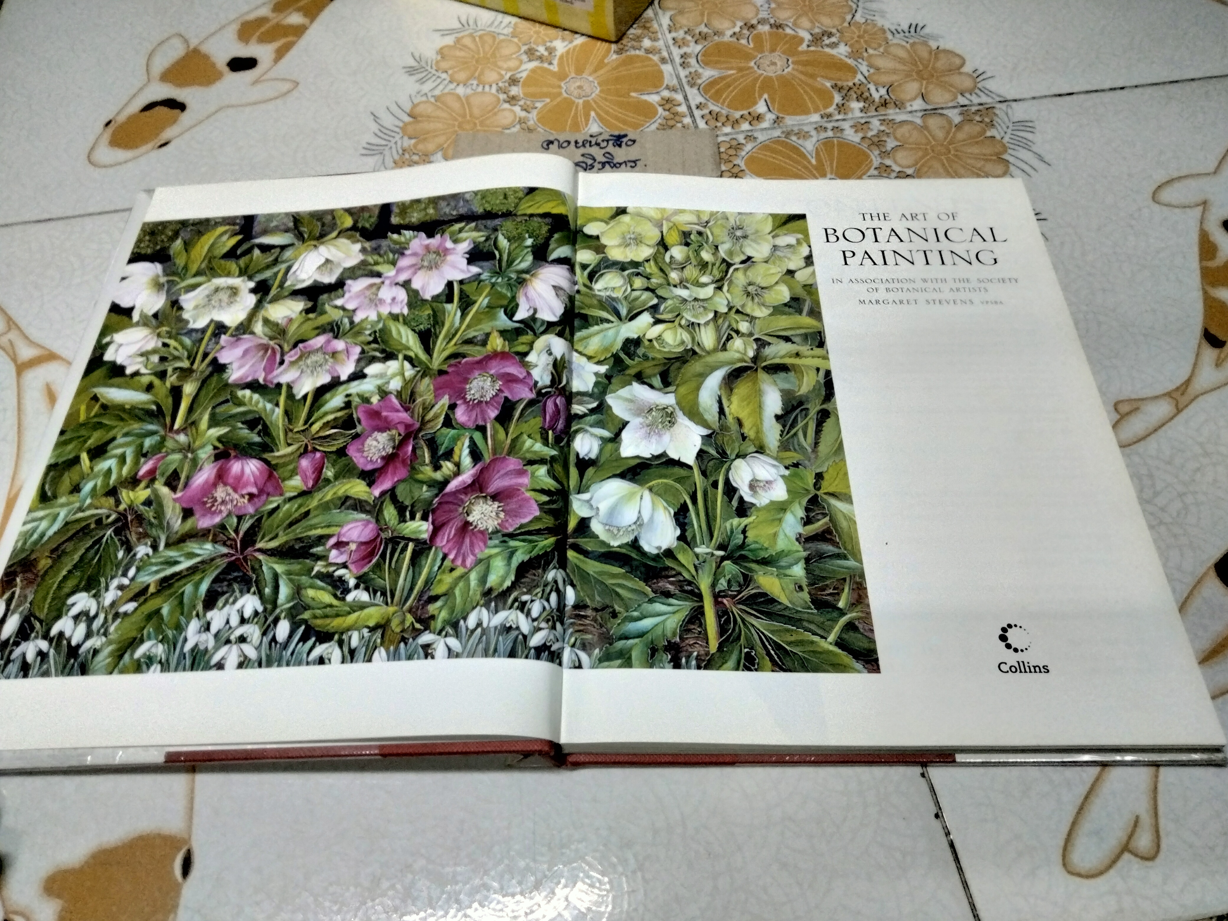 THE ART OF BOTANICAL PAINTING (ปกแข็ง) MARGARET STEVENS ศิลปะการวาดภาพประกอบพฤกษศาสตร์ **สินค้าหมด**